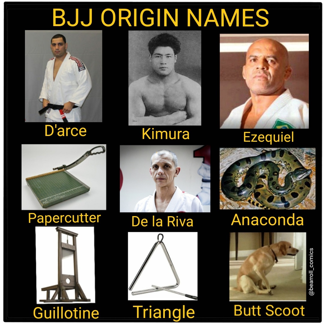 Origin of BJJ moves names r/bjj