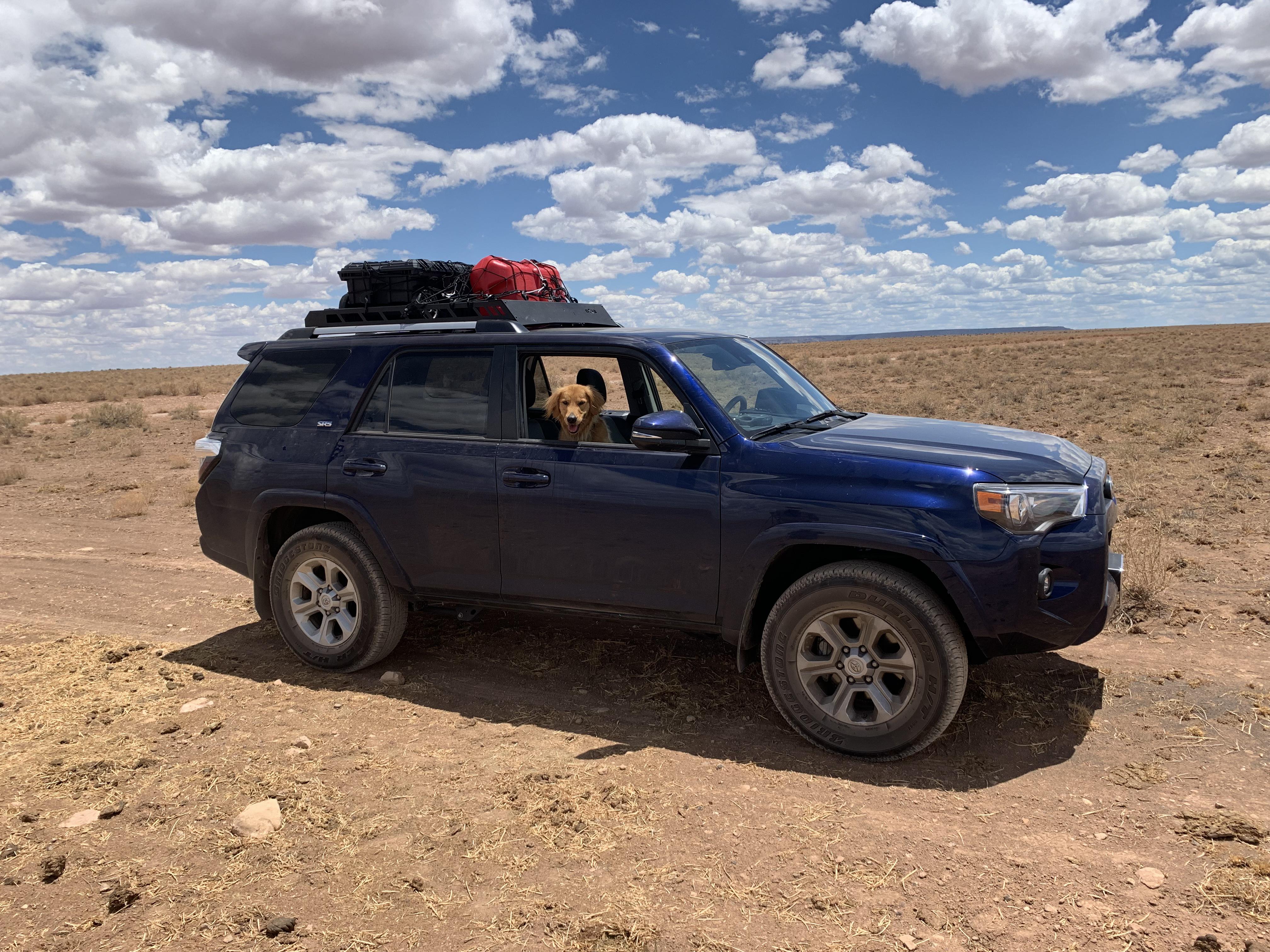 4Runner and Pup Under the Big Fluffy Sky (Arizona) 4Runner
