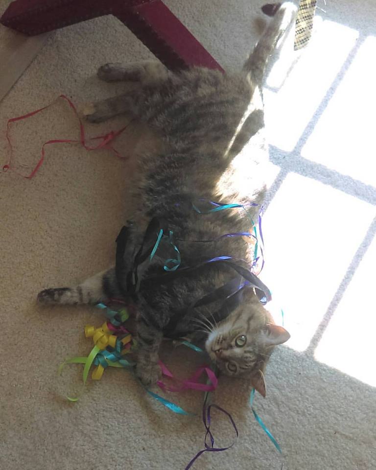 This pretty little miss is enjoying the ribbons from my birthday presents! (Properly supervised