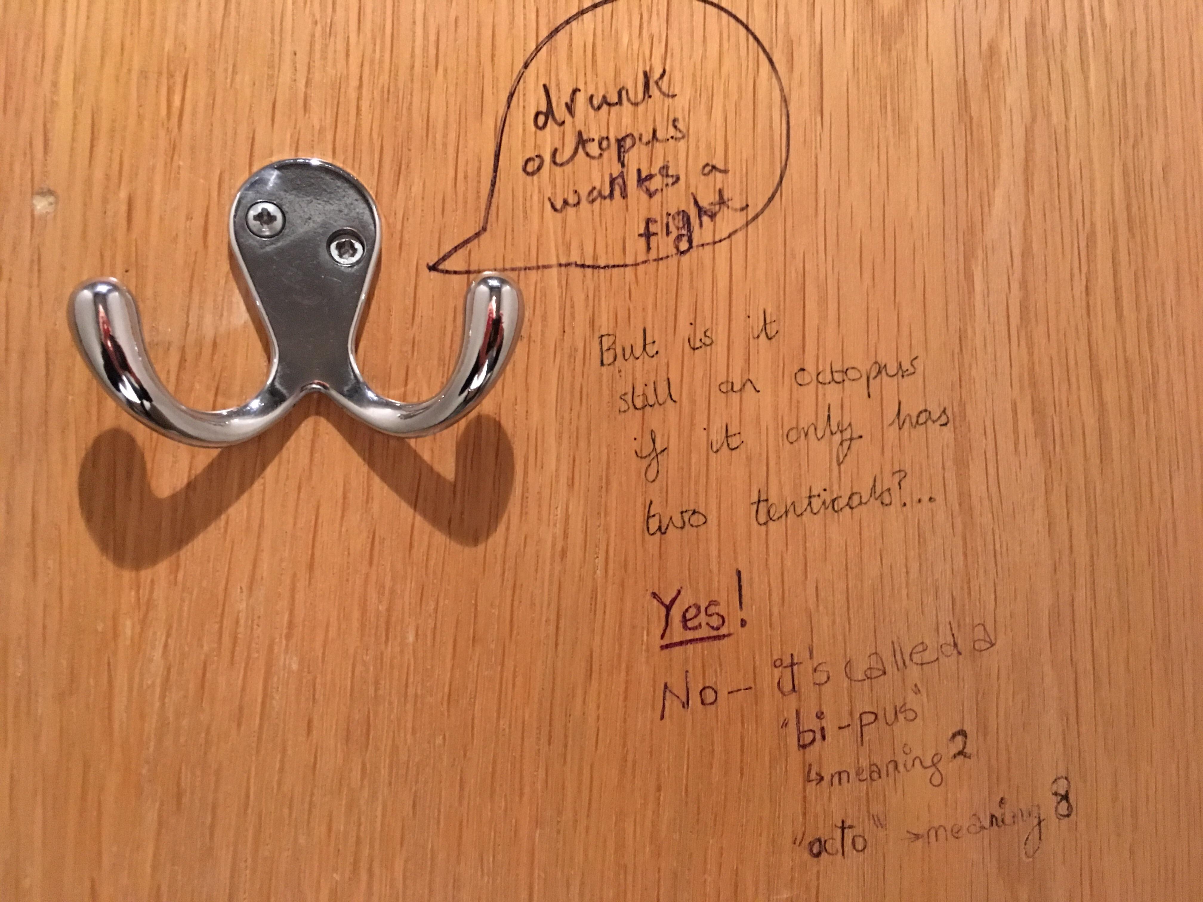 Best toilet graffiti I’ve seen. I’ll never look at a clothes hook the