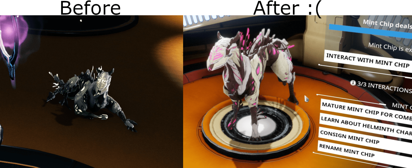 The changes to energy colors messed with pet colors too. Now my previously Mint Chocolate Chip