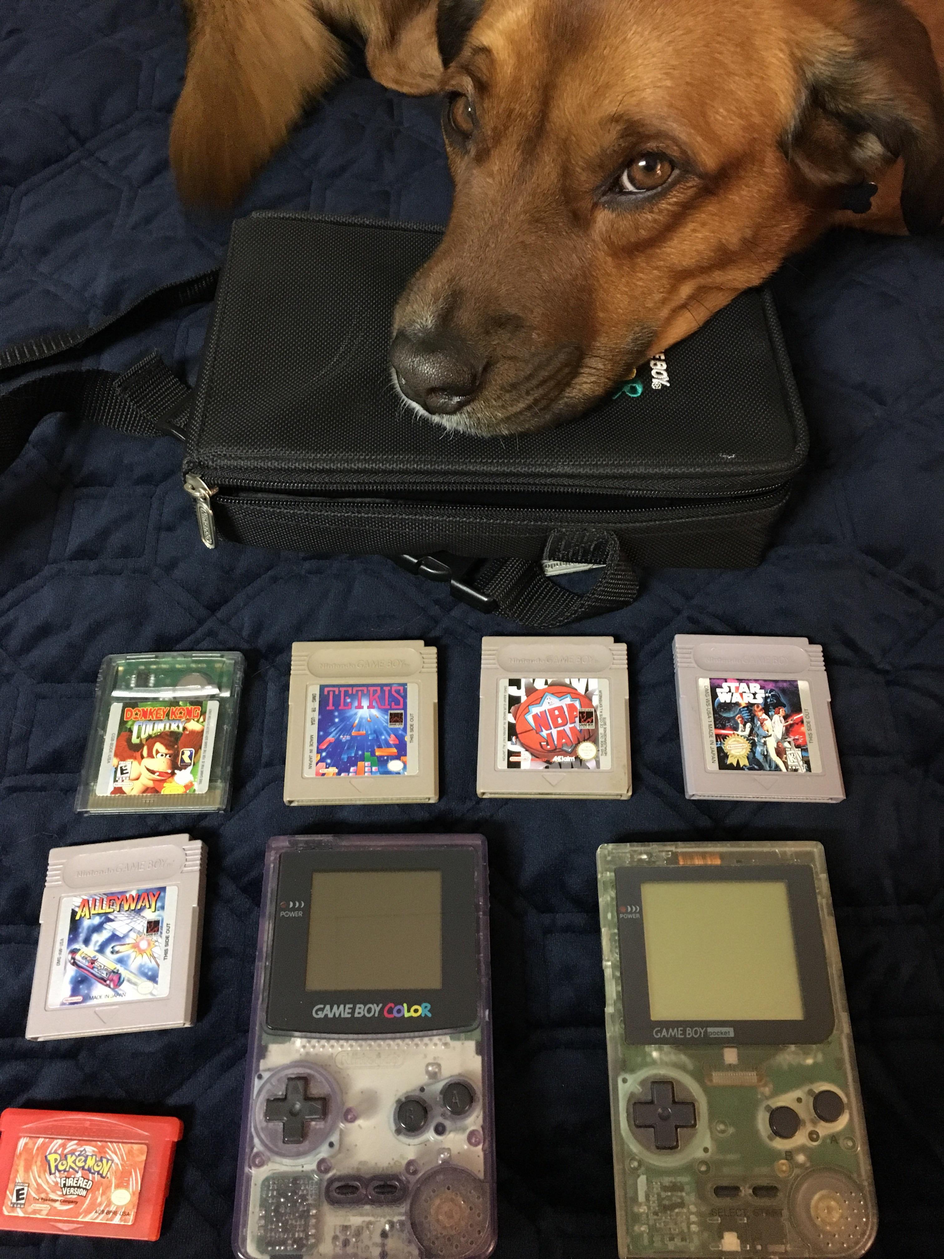 My local find for the day (dog for scale). The Gameboy pocket is not