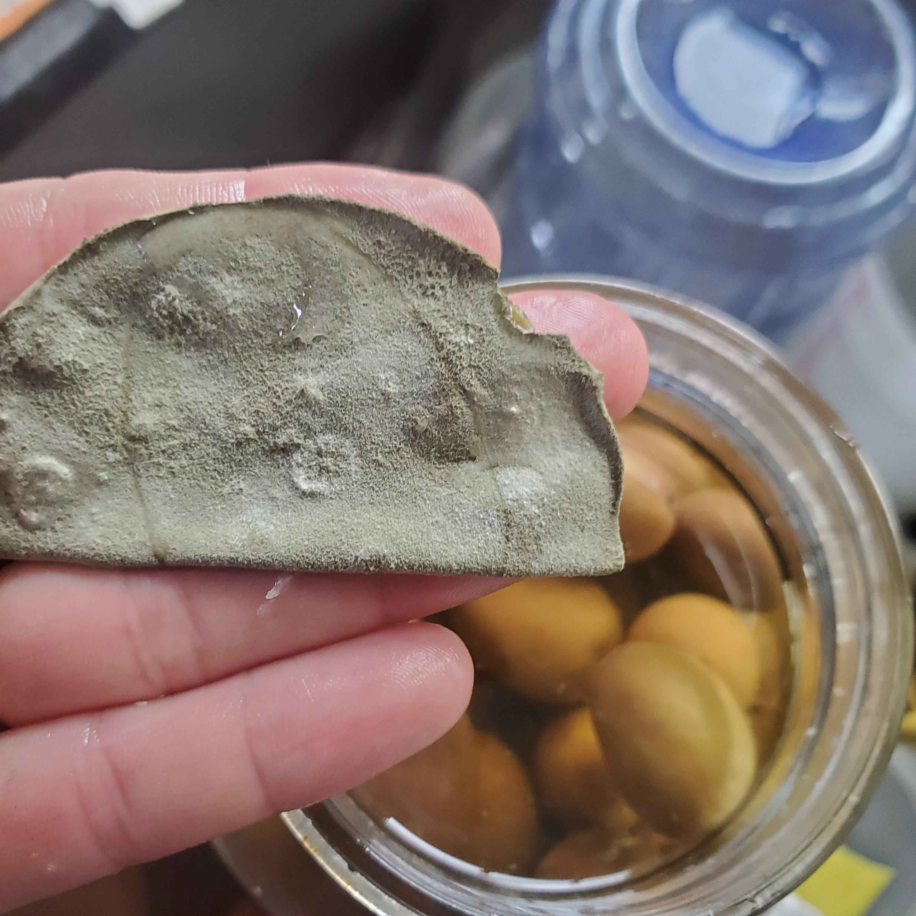 Can I save fermented olives? Mold on top. r/fermentation