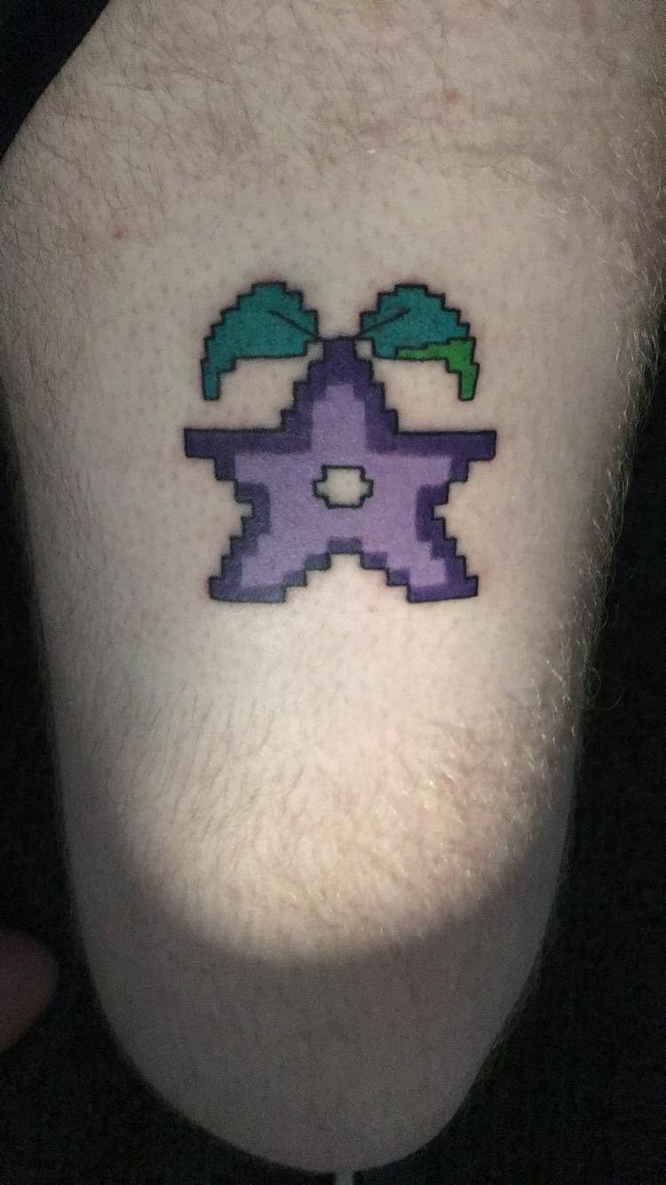 You found a Stardrop! Your mind is filled with thoughts of Stardew