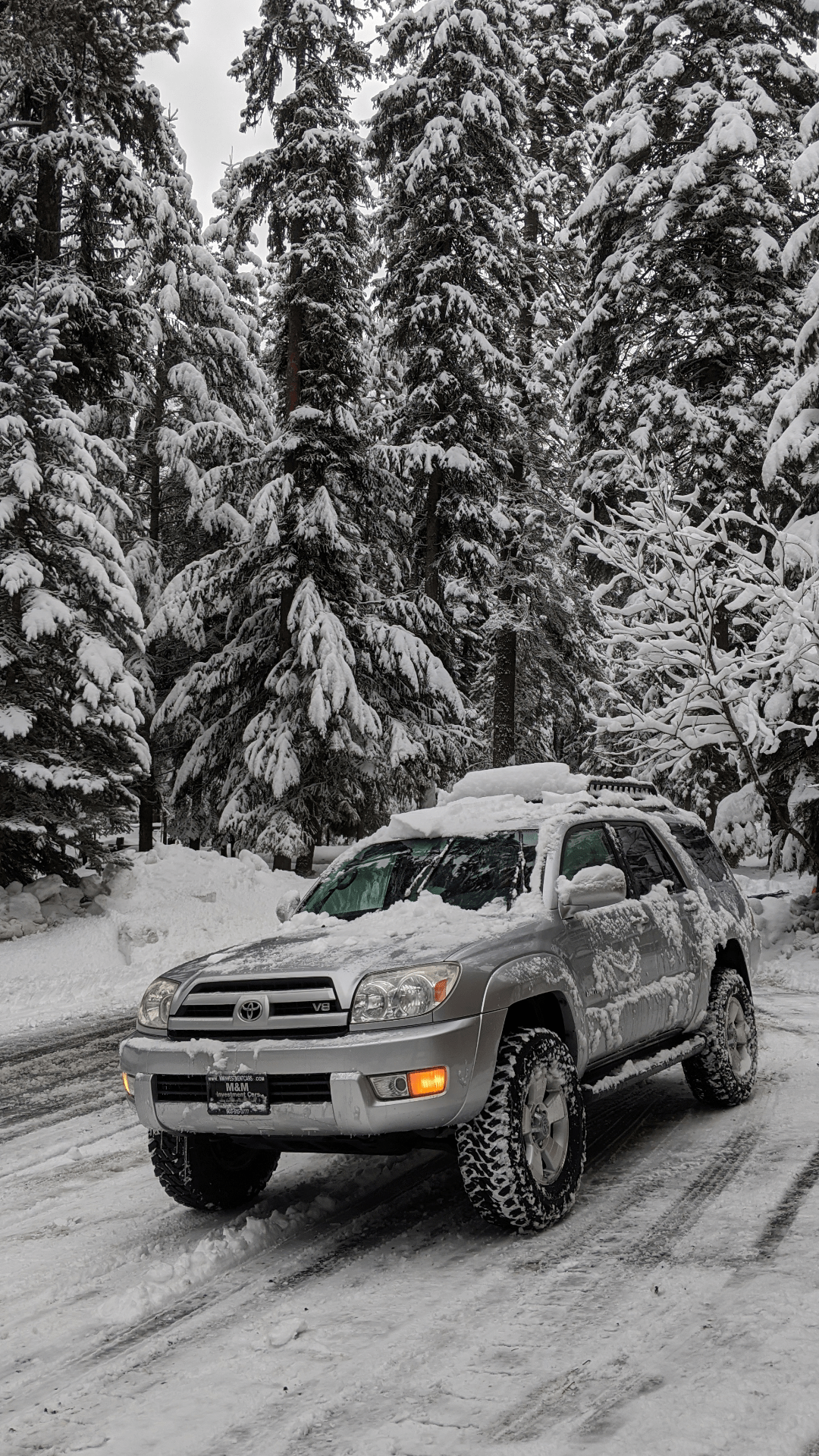 Camping in the Blue Mountain Forest State Park this winter in our new
