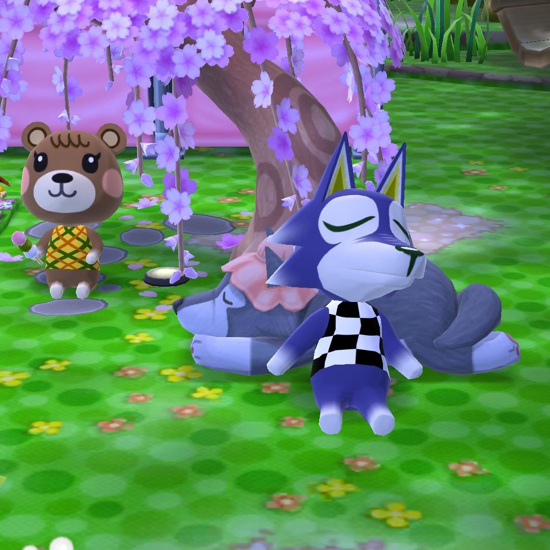 Lobo taking a nap on wolf plushie 🐺 Zzz... r/ACPocketCamp
