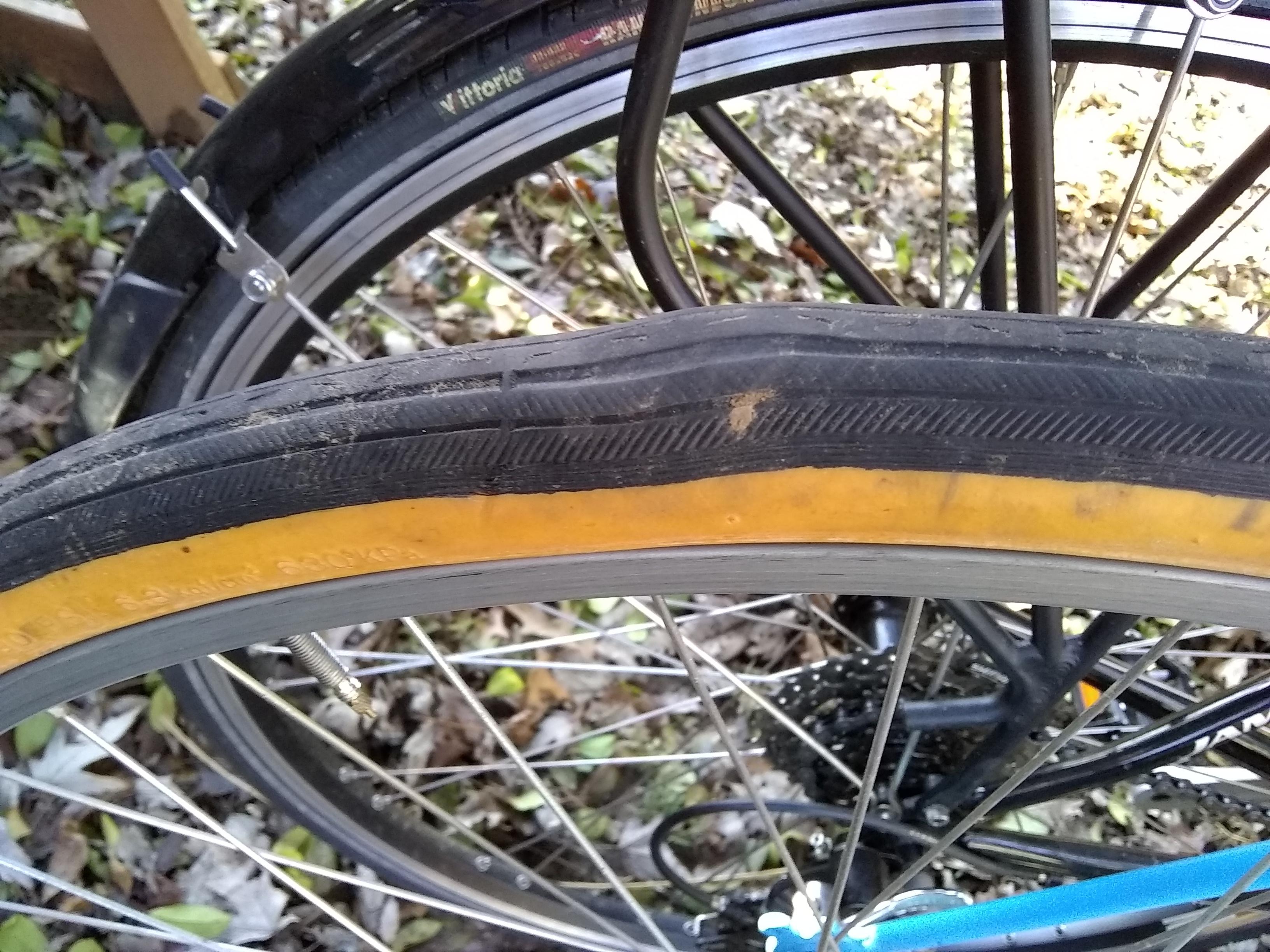 Weird bulge, safe to ride? r/bikewrench