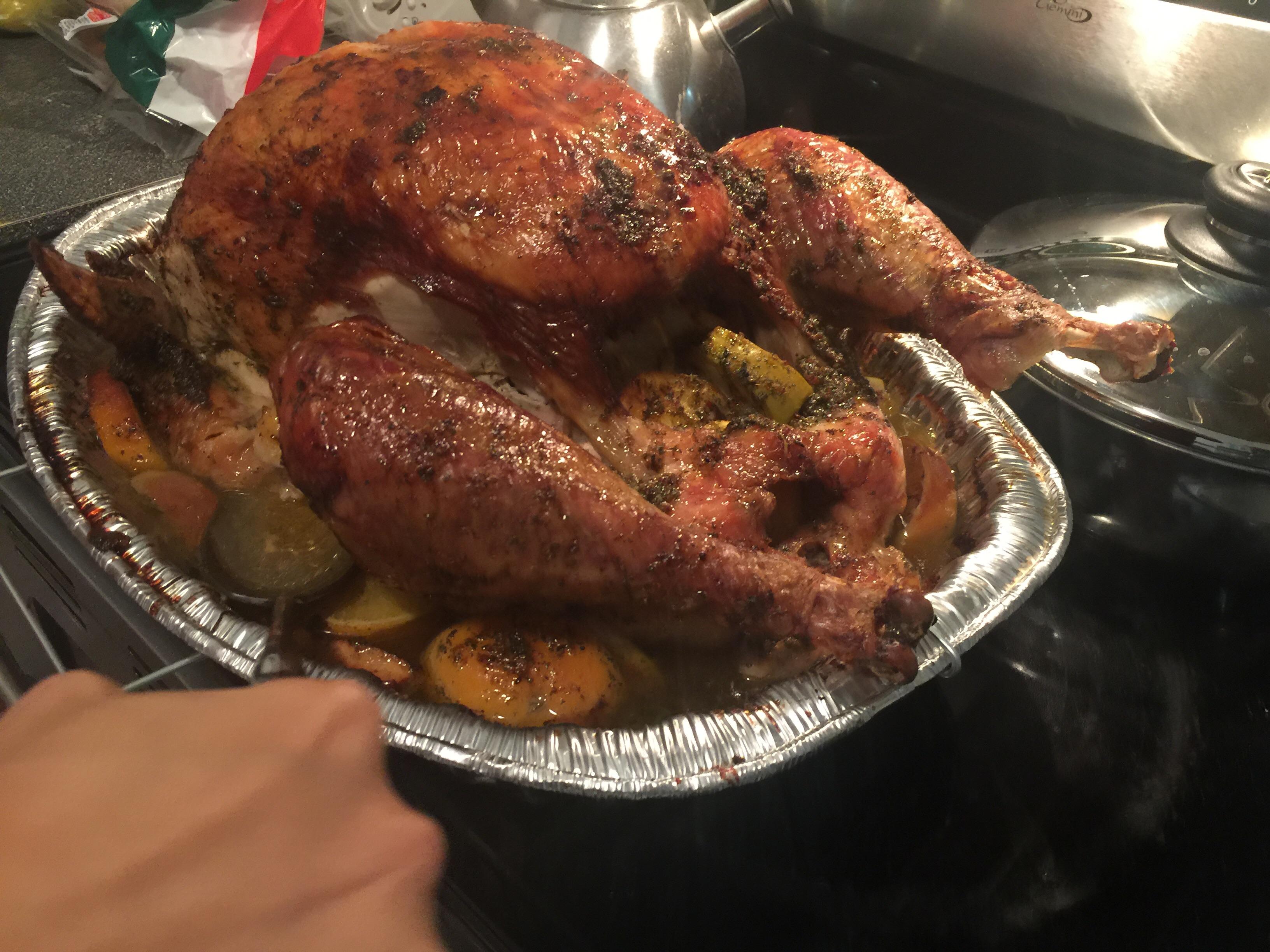 [homemade] roasted whole turkey with stuffing r/food