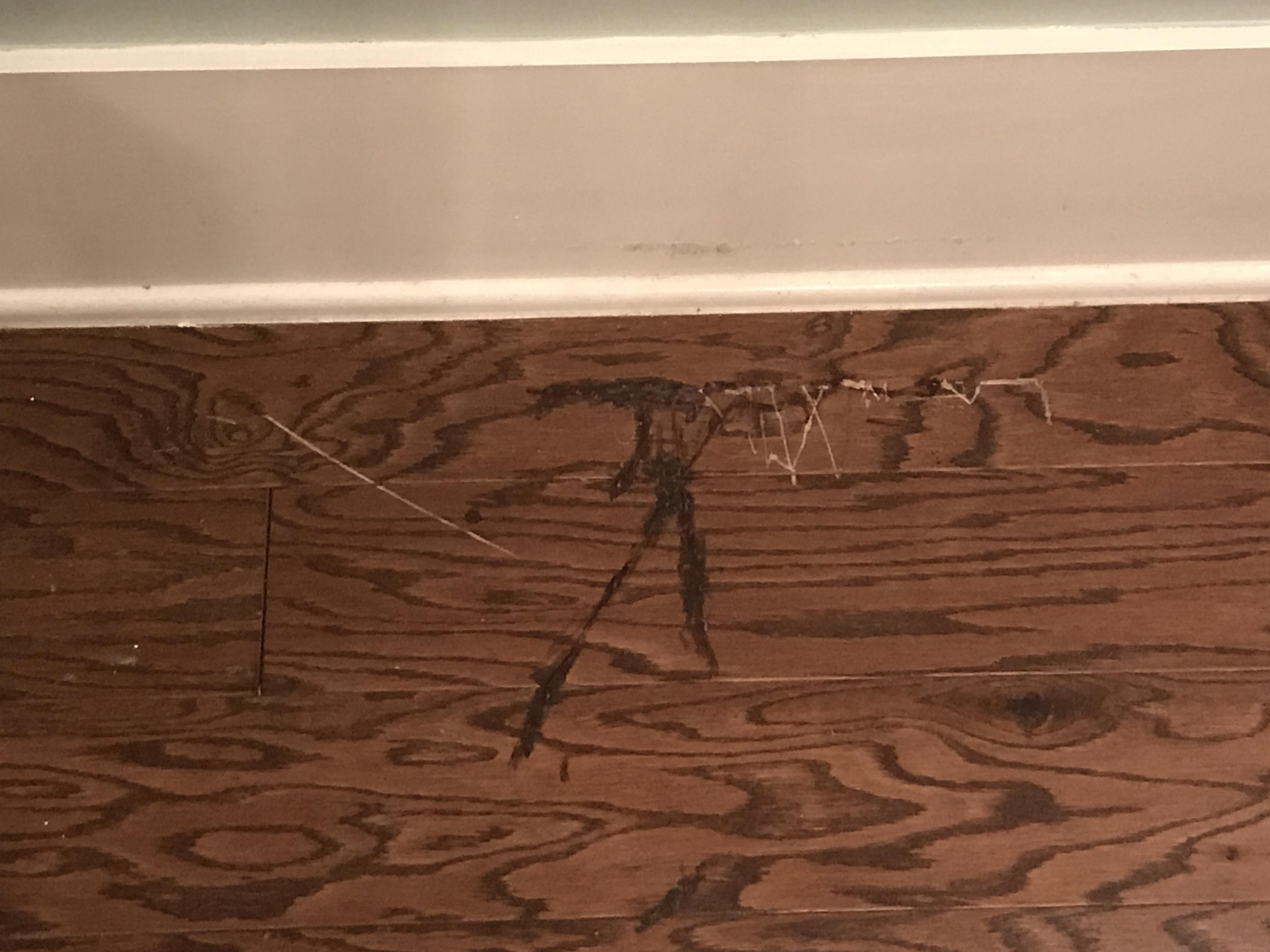 How to fix the scratches in this engineered hardwood? Previous owner