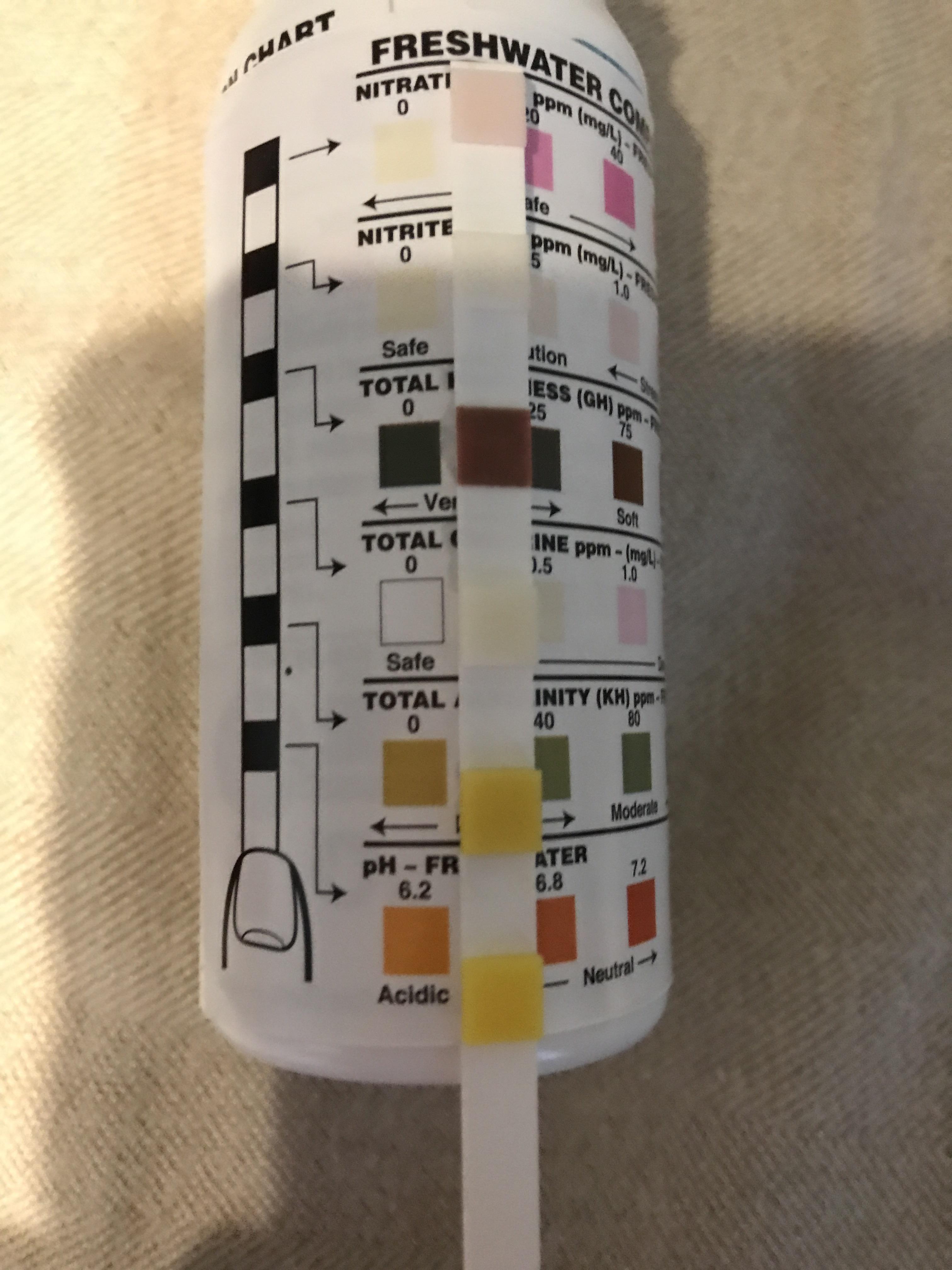 How do I make my water less acidic? r/bettafish