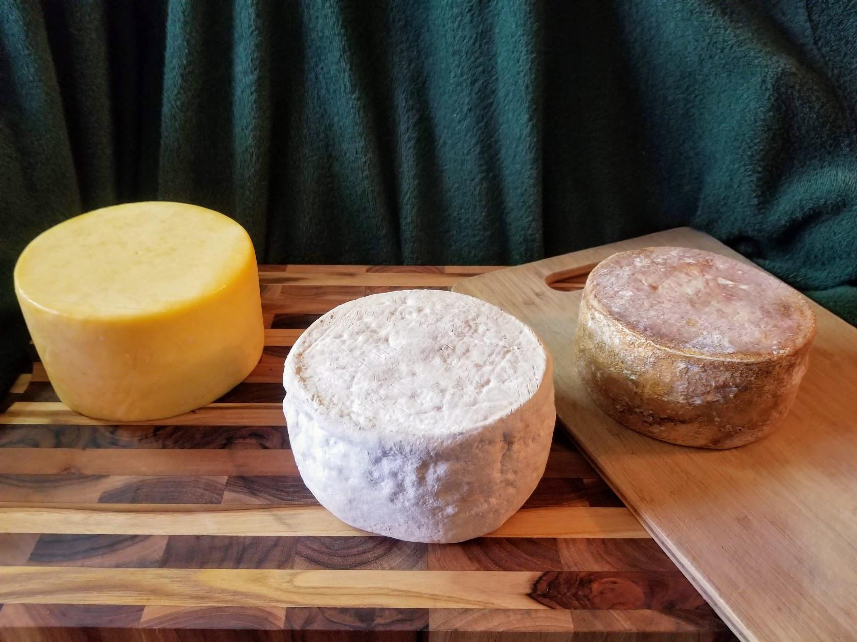 A few naturalrind cheeses I've made during quarantine! r/cheesemaking