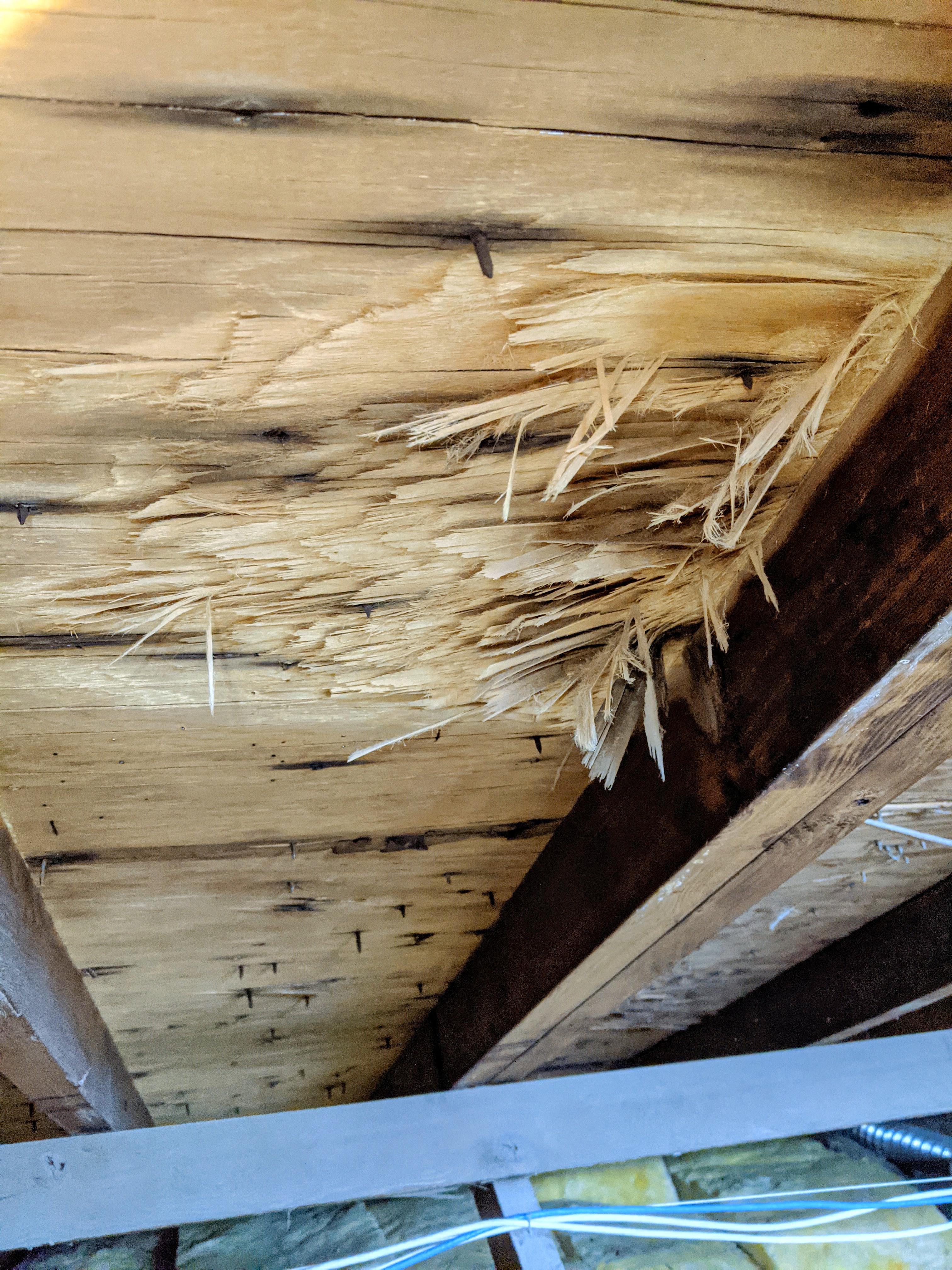 Looking for advice. Has anyone seen plywood roof sheathing damage like