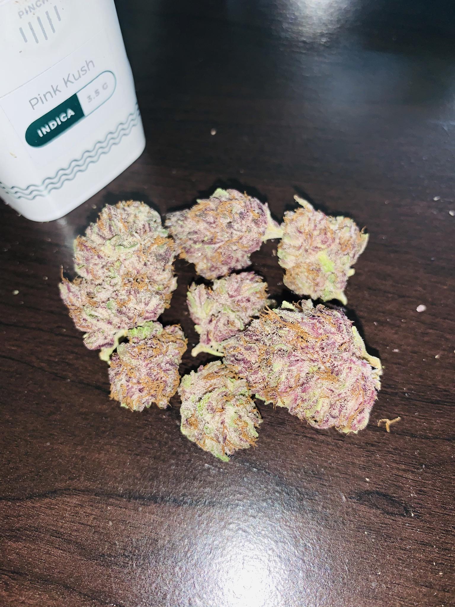 Aeriz Pink Kush! Most vibrant colored bud I’ve ever seen! r/ILTrees