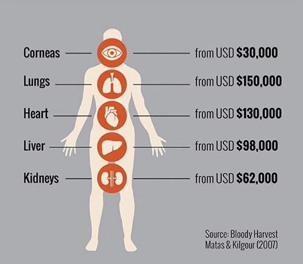 The price of organs on the deep web r/coolguides