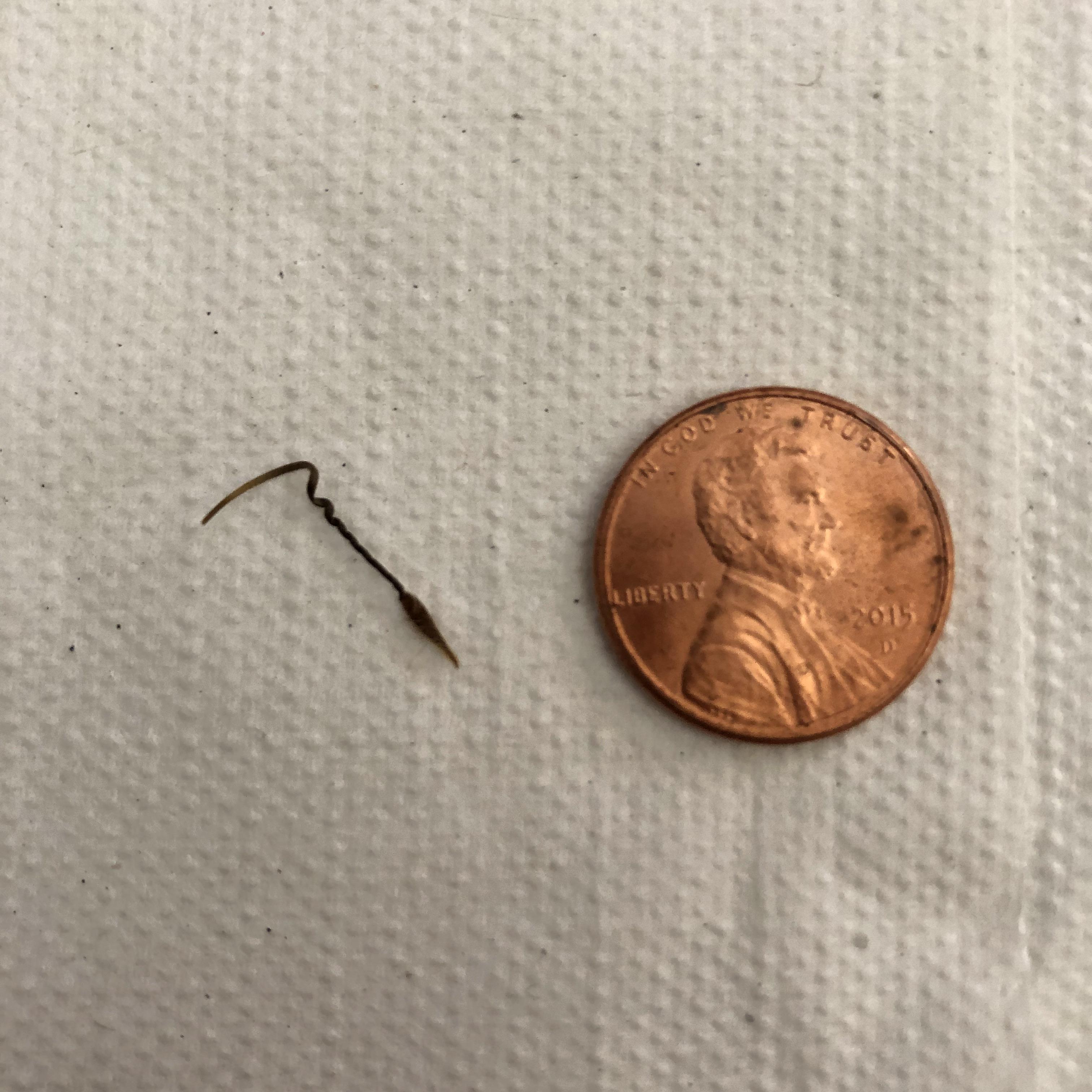 This stuff keeps getting stuck in my dogs fur every time he does out