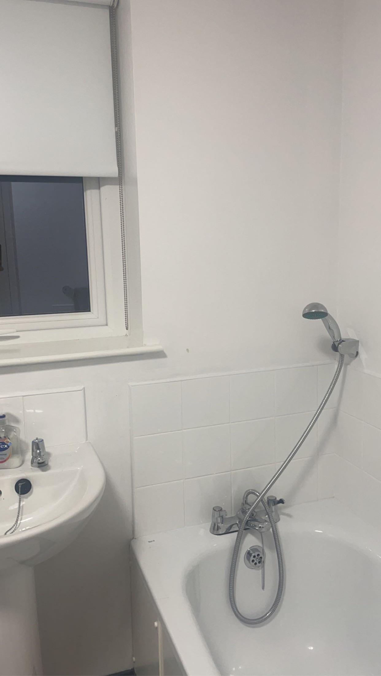 Advice needed for glass shower door/curtain? r/DIYUK