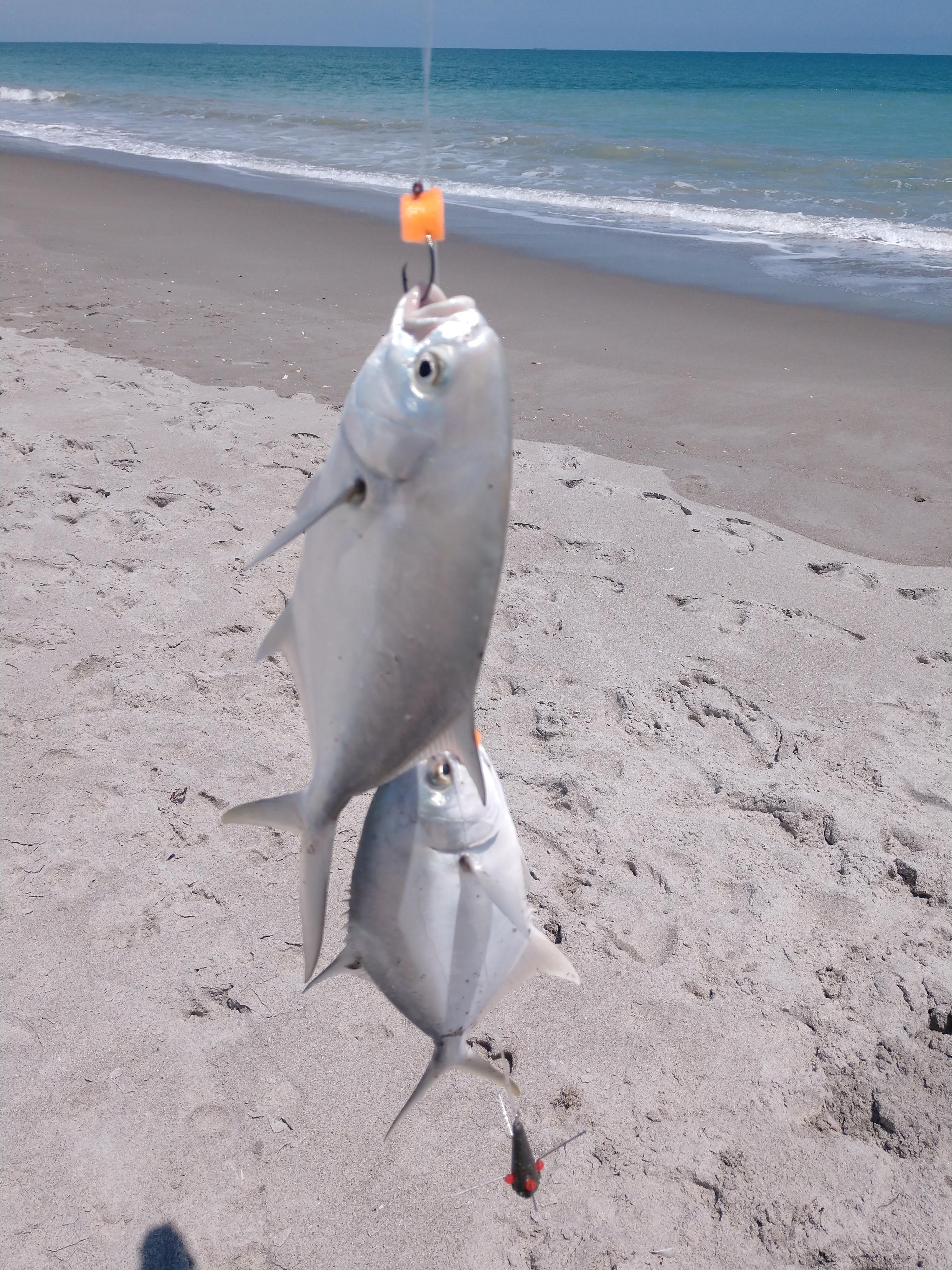 Doubled up on some small pompano r/Fishing