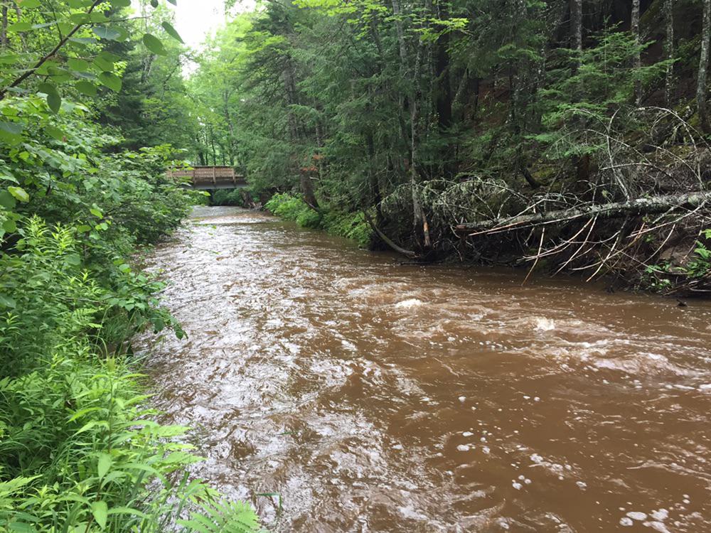 Creek in Centennial Park, Moncton, after Elsa passed through r