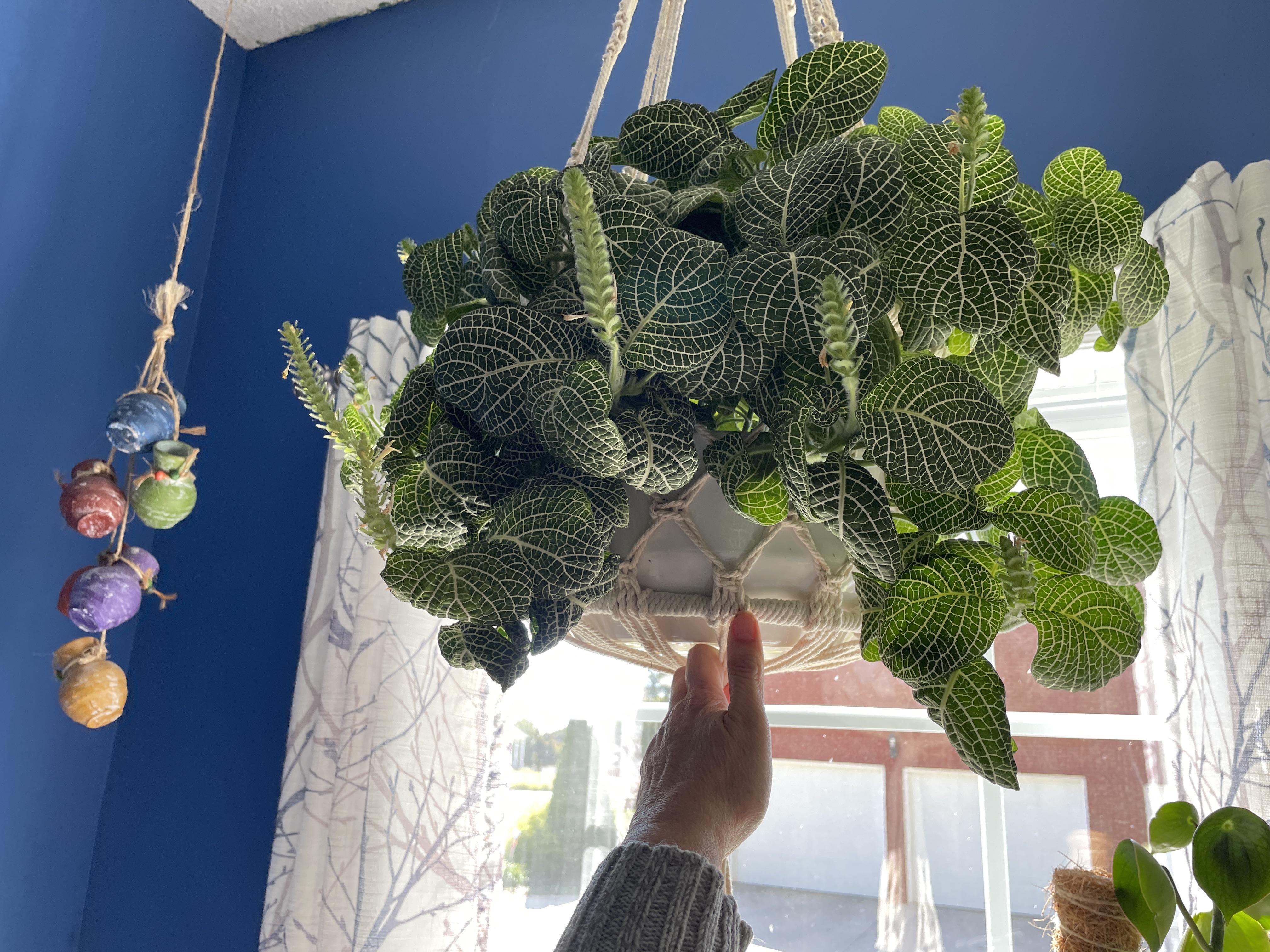 I think she’s living her best life! r/plants