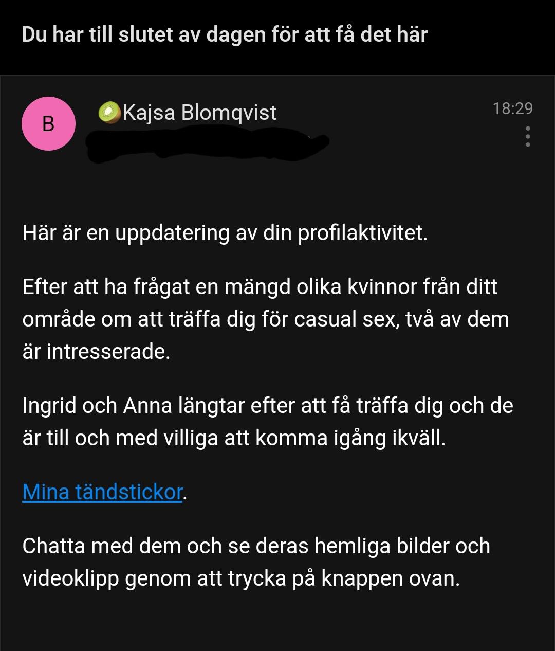 När spammailet gör ett ovanligt bra jobb med automatisk översättning