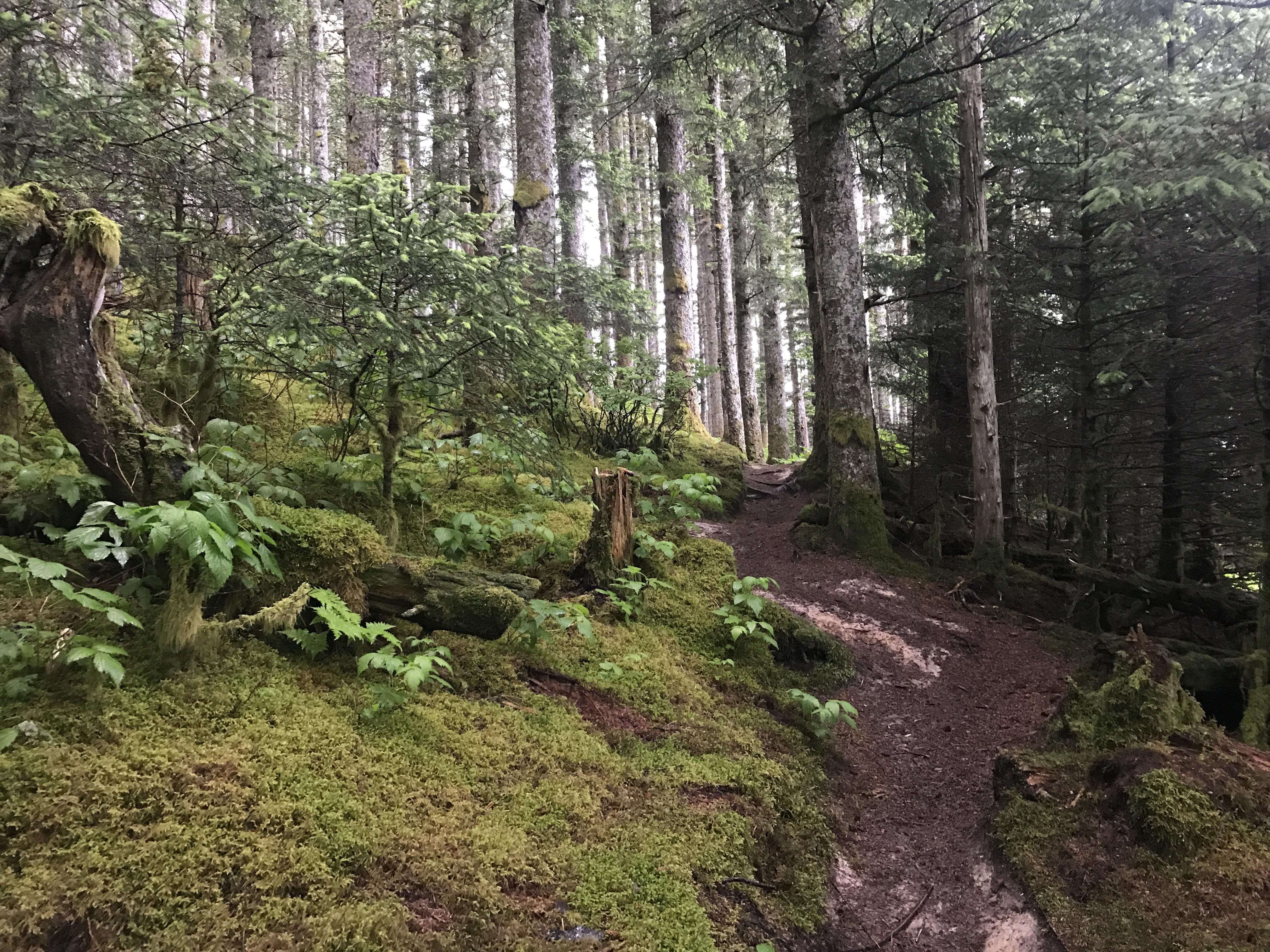 Hiking Fort Abercrombie, Kodiak Island, Alaska r/hiking