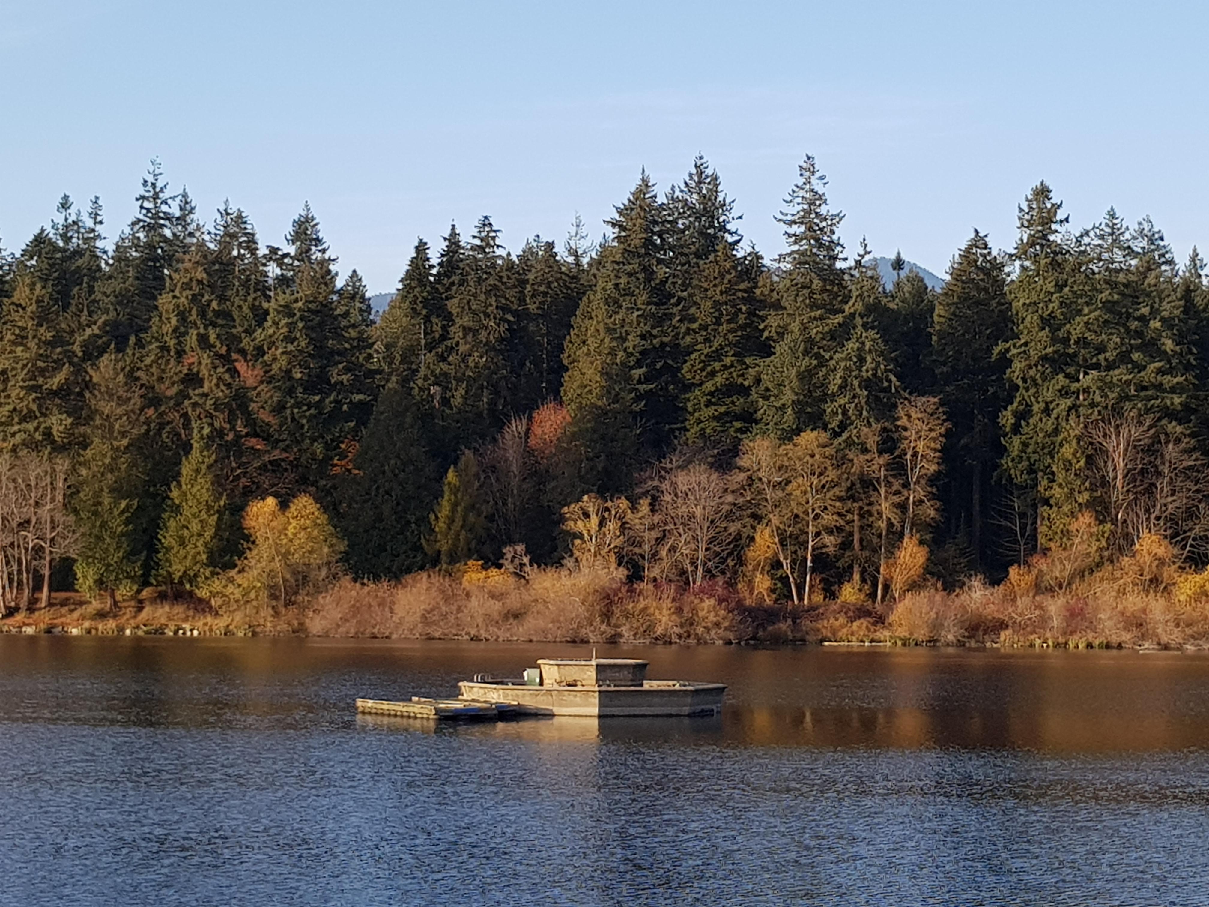 Vancouver reddit what is this structure? I have a friend visiting from