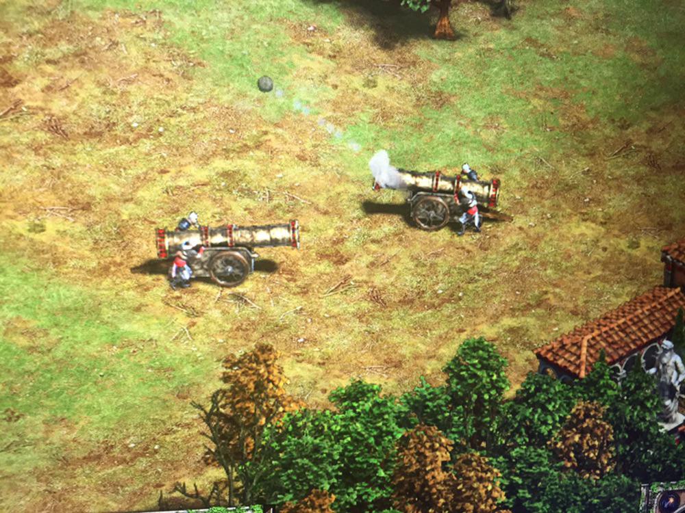 Found this bombard cannon texture mod r/aoe2