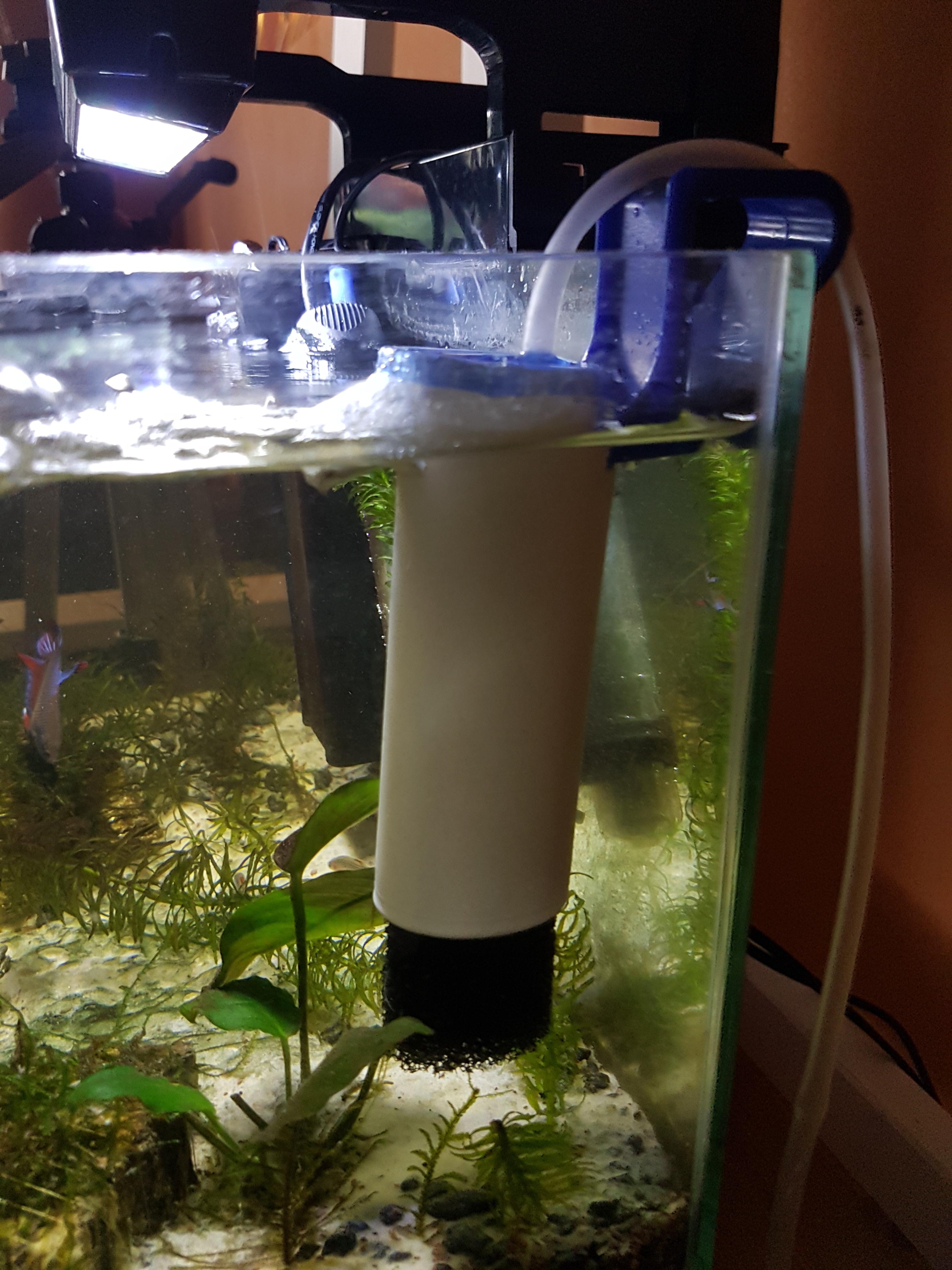 Adjustable bubble filter that I made in 20min r/Aquariums