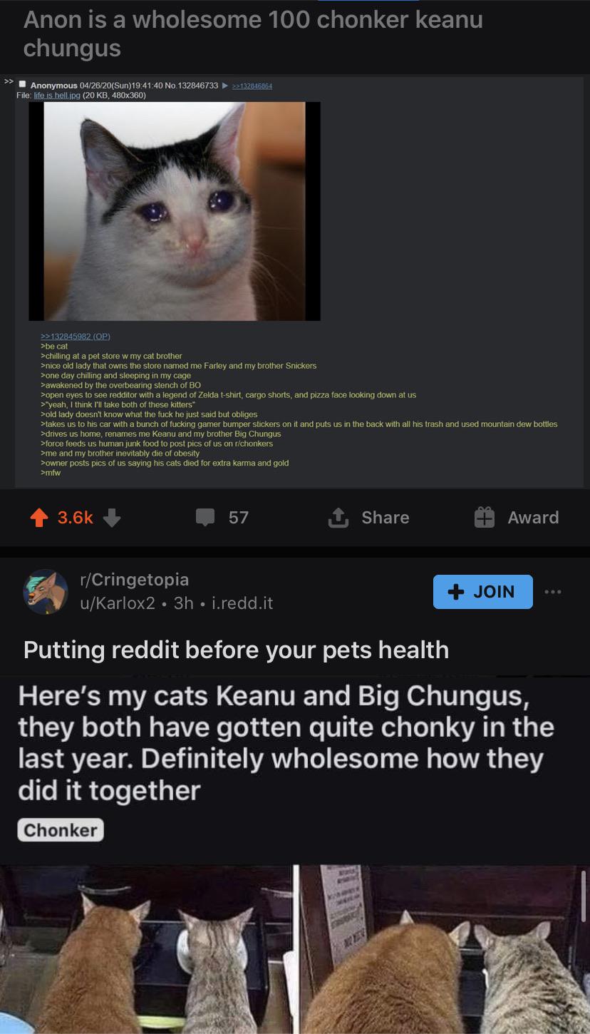 Caught me off guard r/juxtaposition