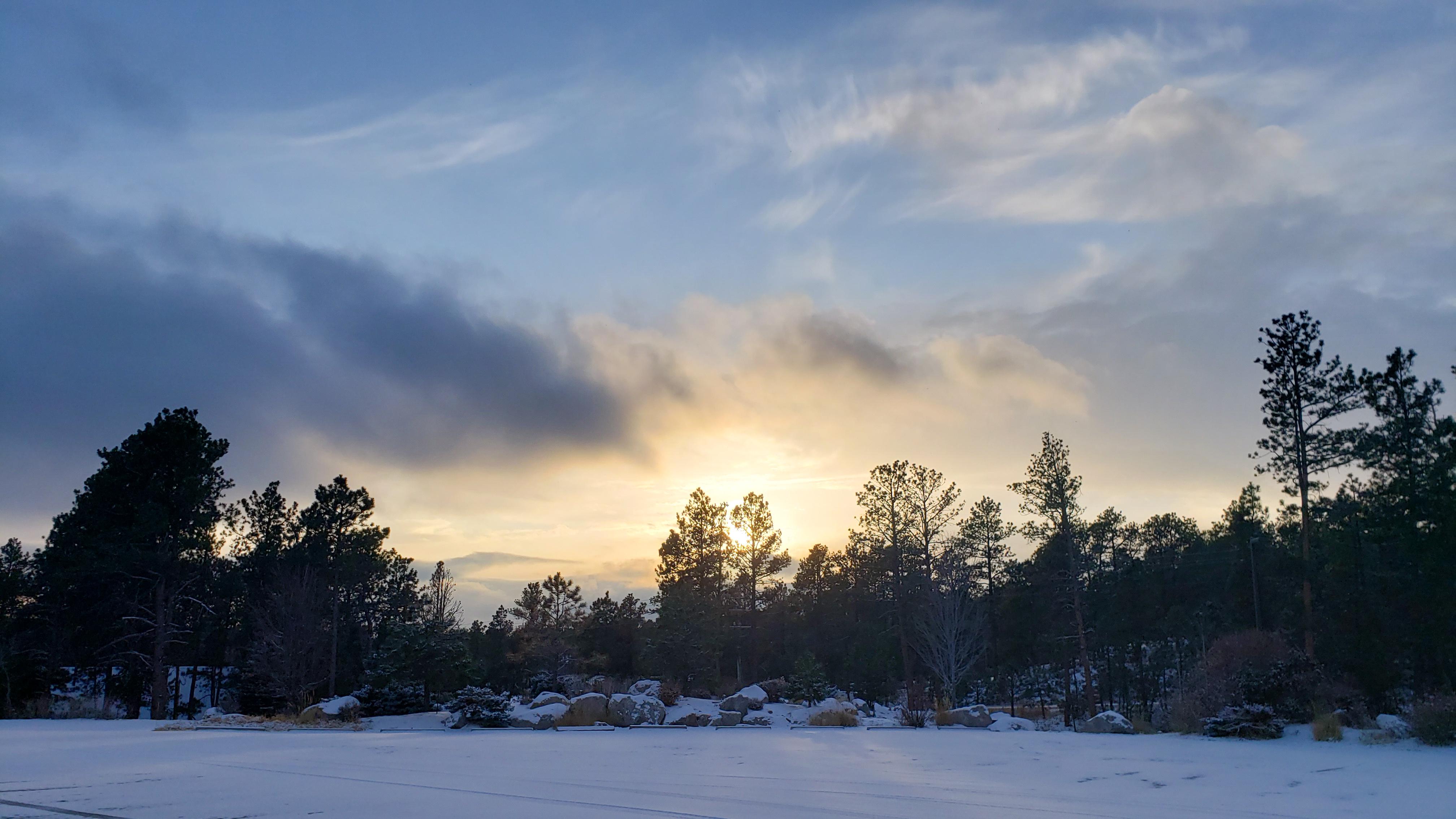 Black Forest, CO r/ColoradoSprings