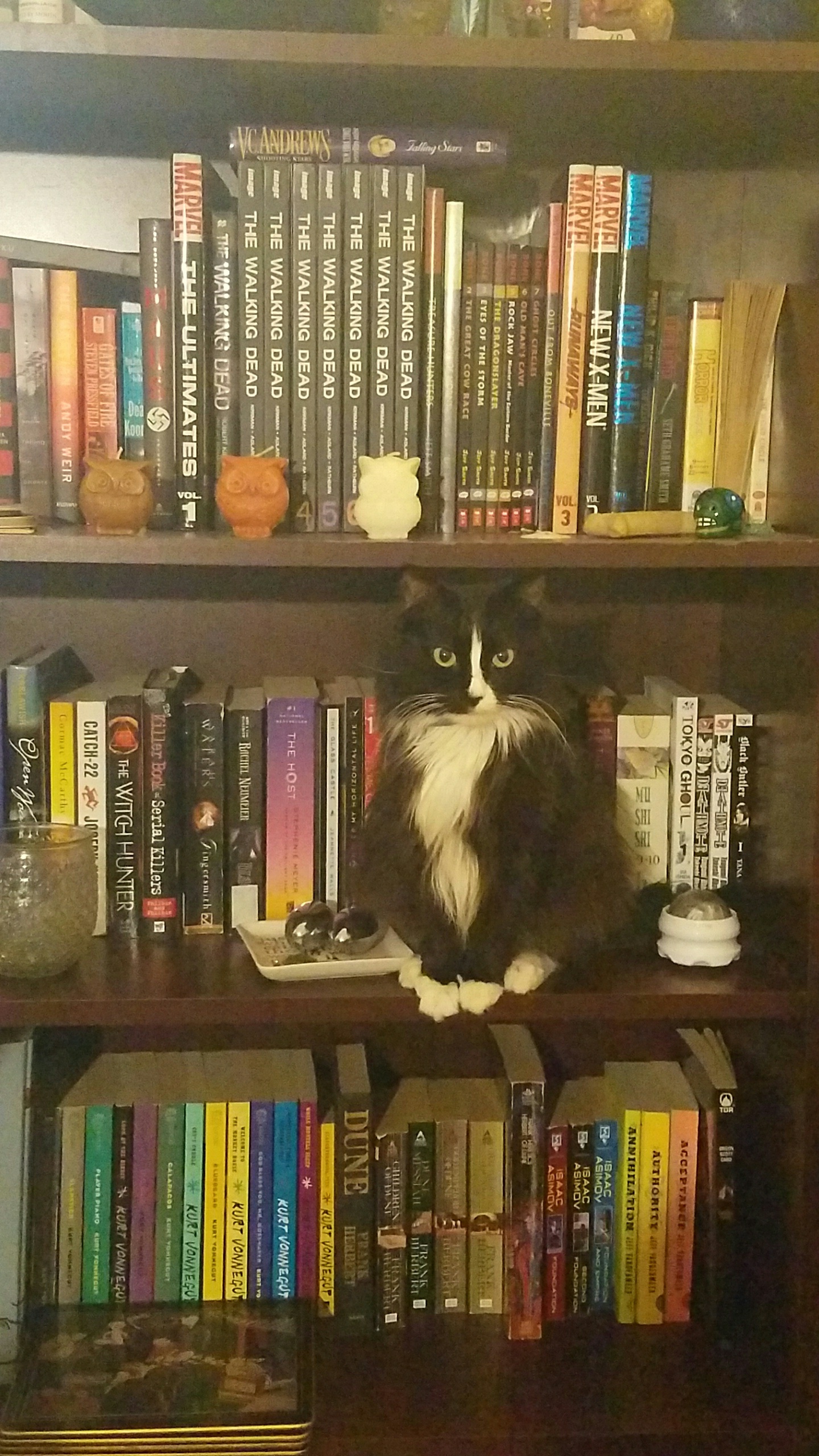 The book keeper. r/bookshelf