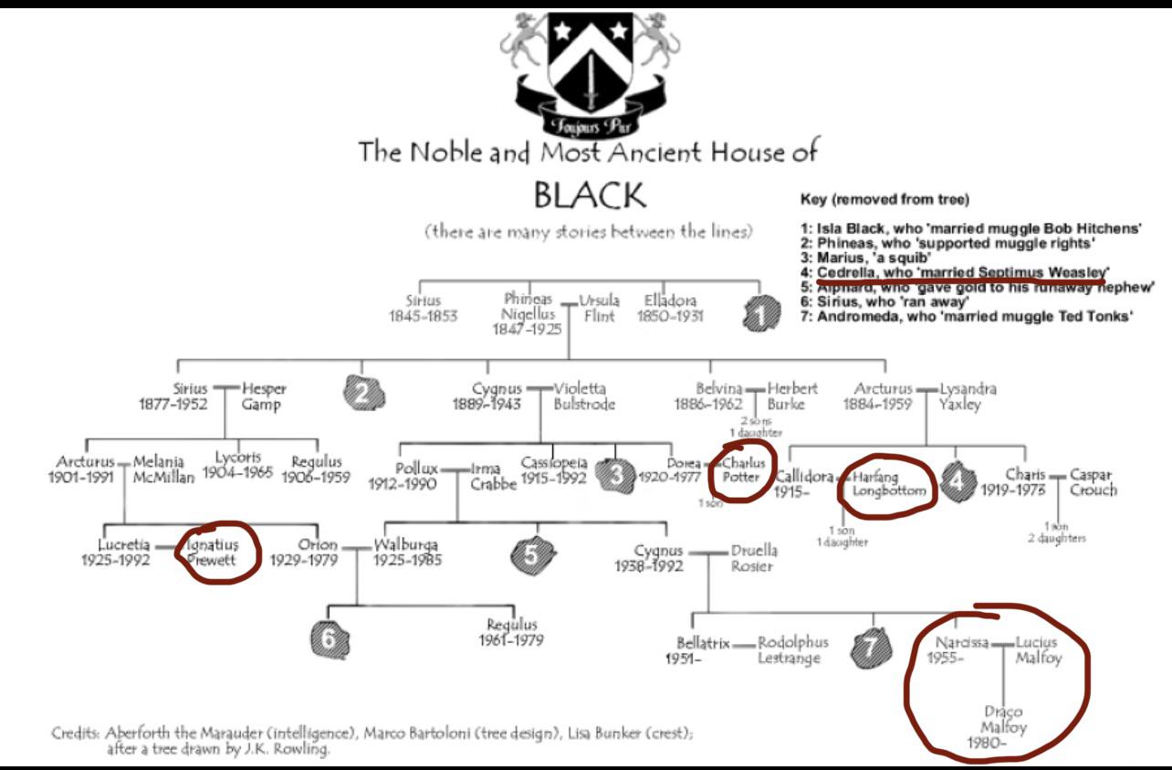 Harry Potter Sirius Black Family Tree