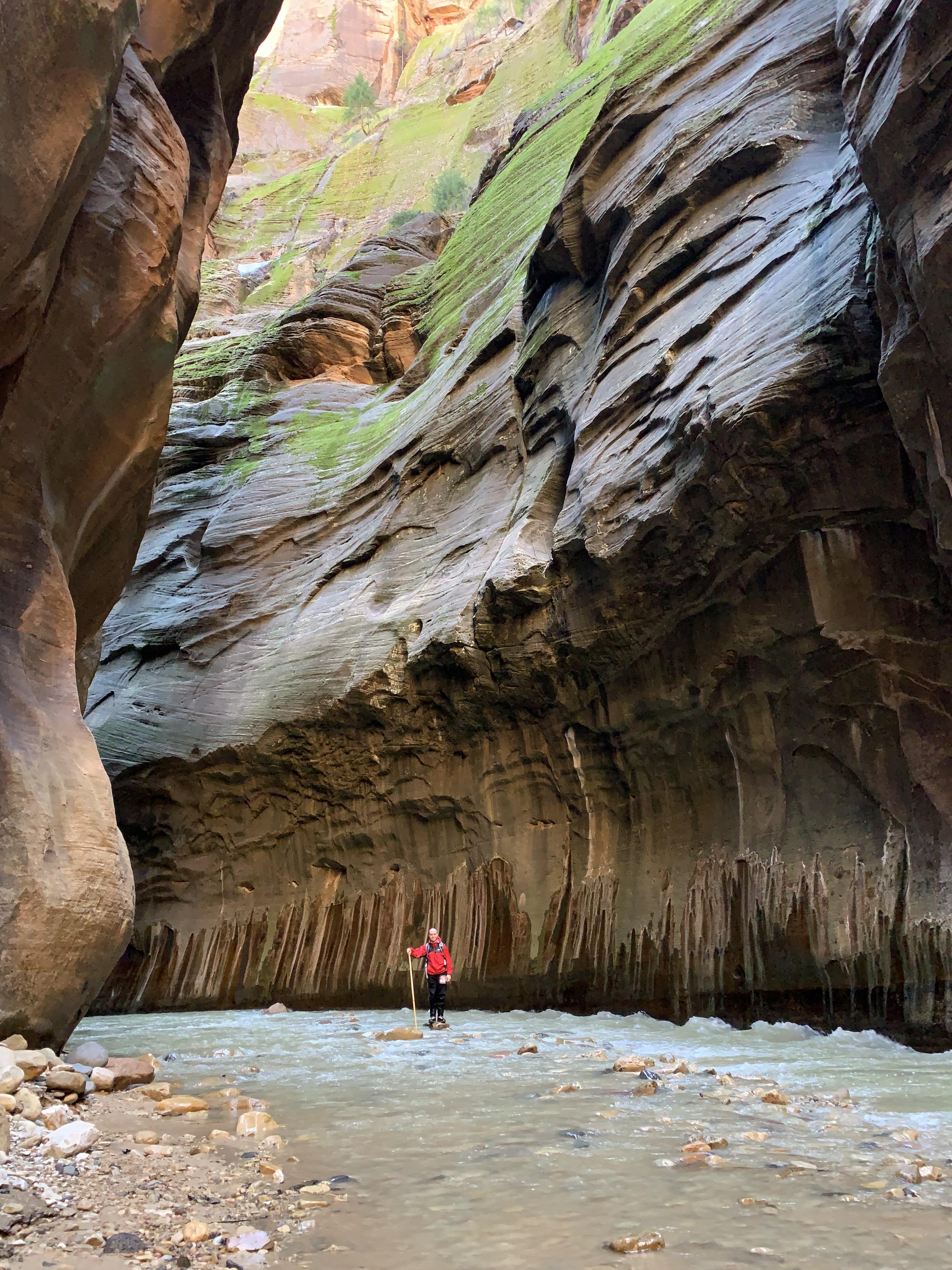 The Narrows opened up for our brief stay at Zion. Incredible hike! r/hiking