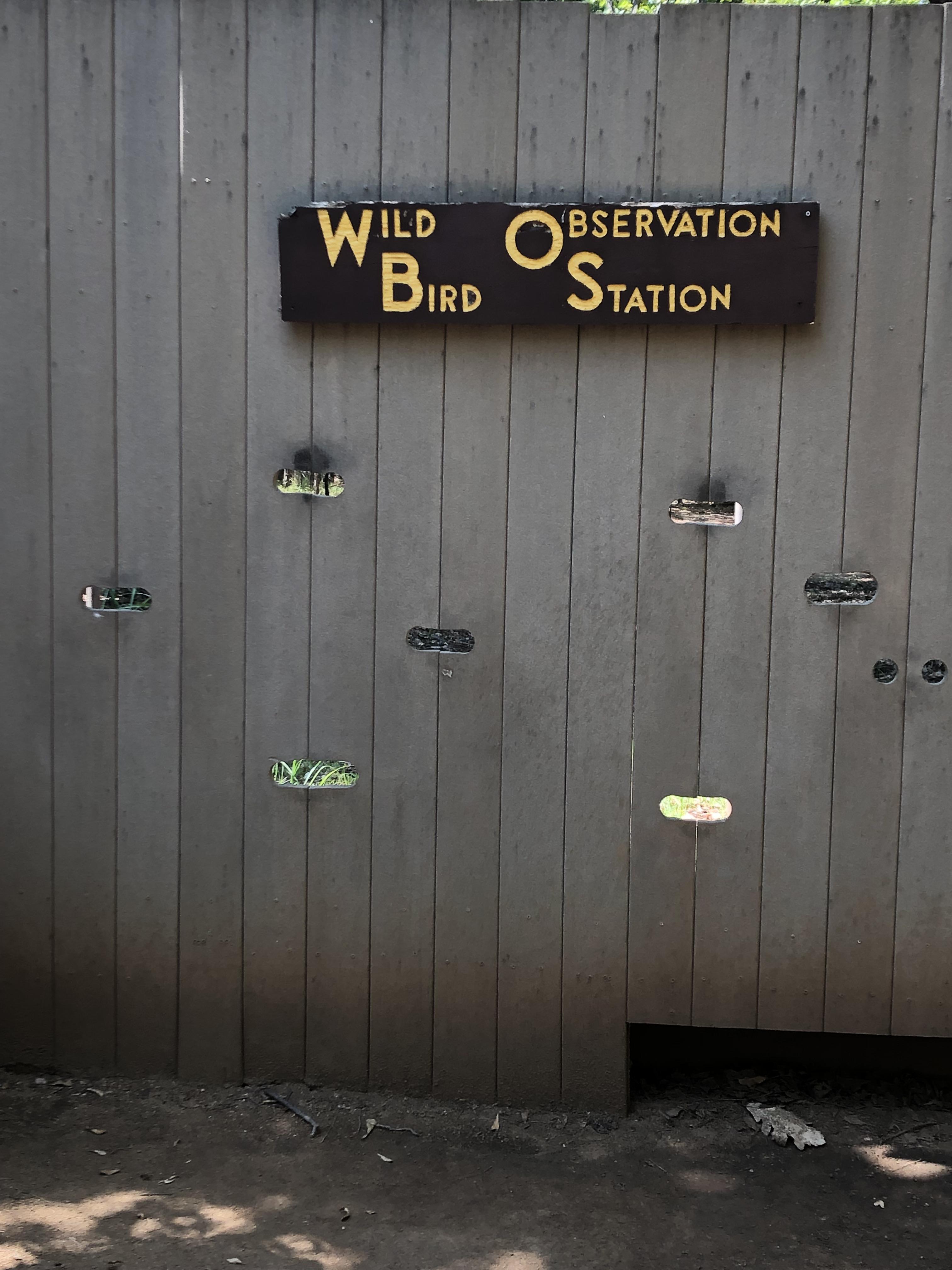 Wild Observation Bird Station r/dontdeadopeninside