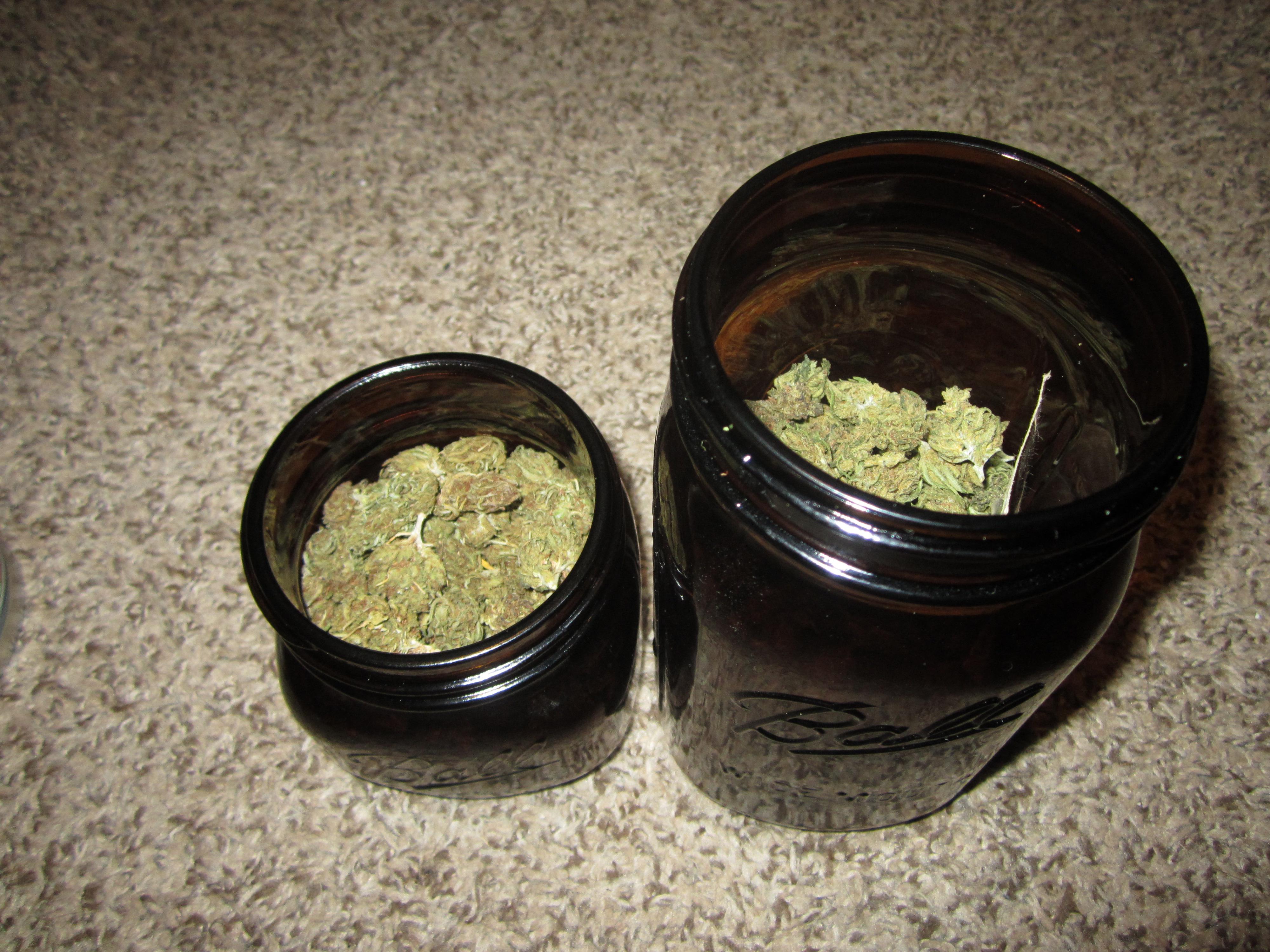 Really liking the Ball Amber Glass Jars r/hempflowers