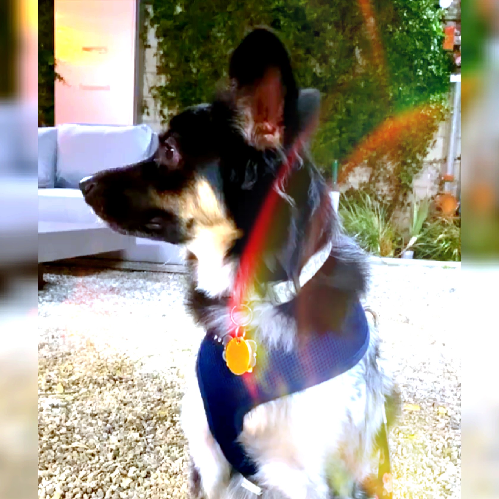 I did a cute edit of Spencer r/CrankGameplays