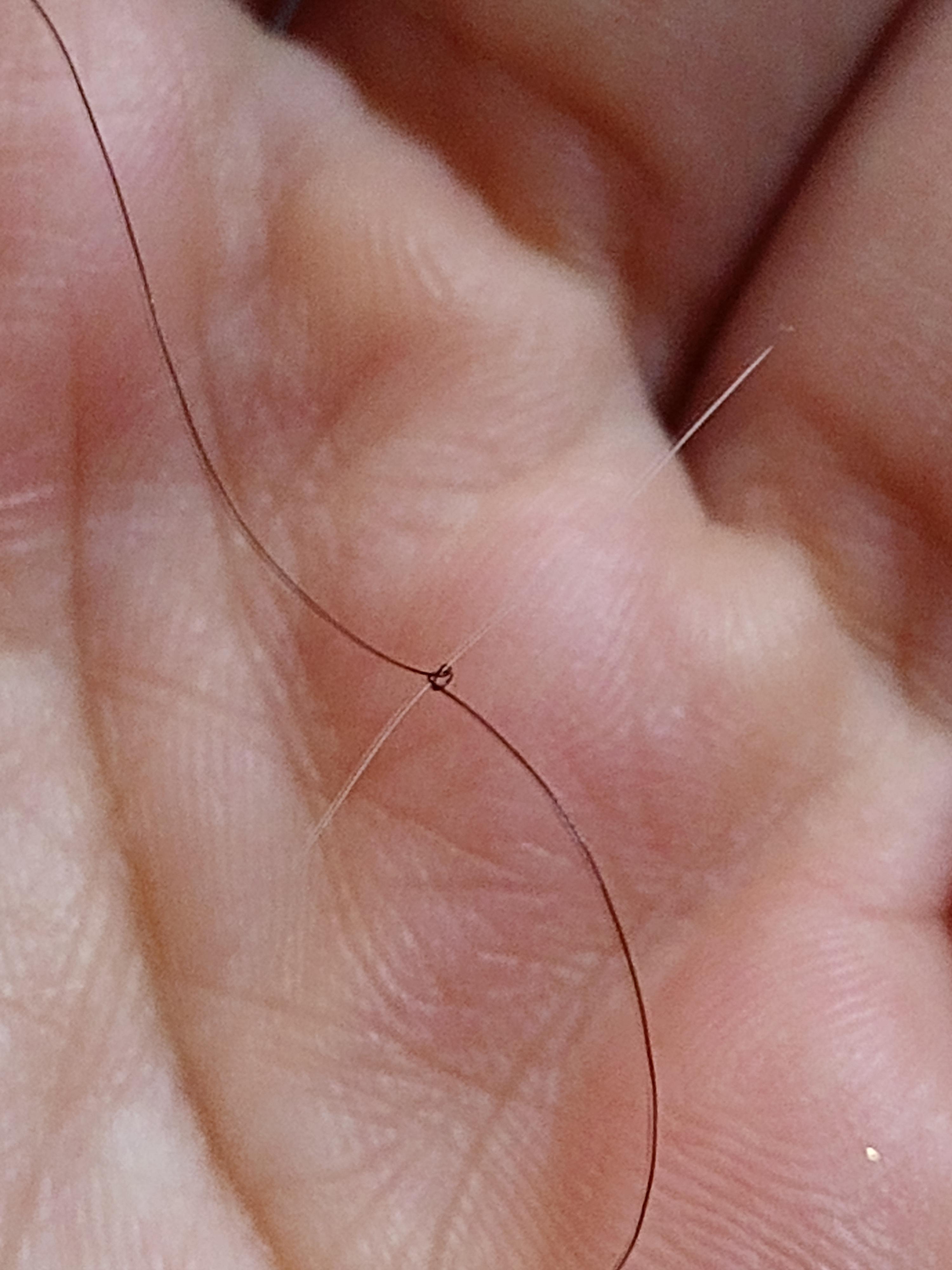 even got a cat hair stuck fairyknot r/split_ends