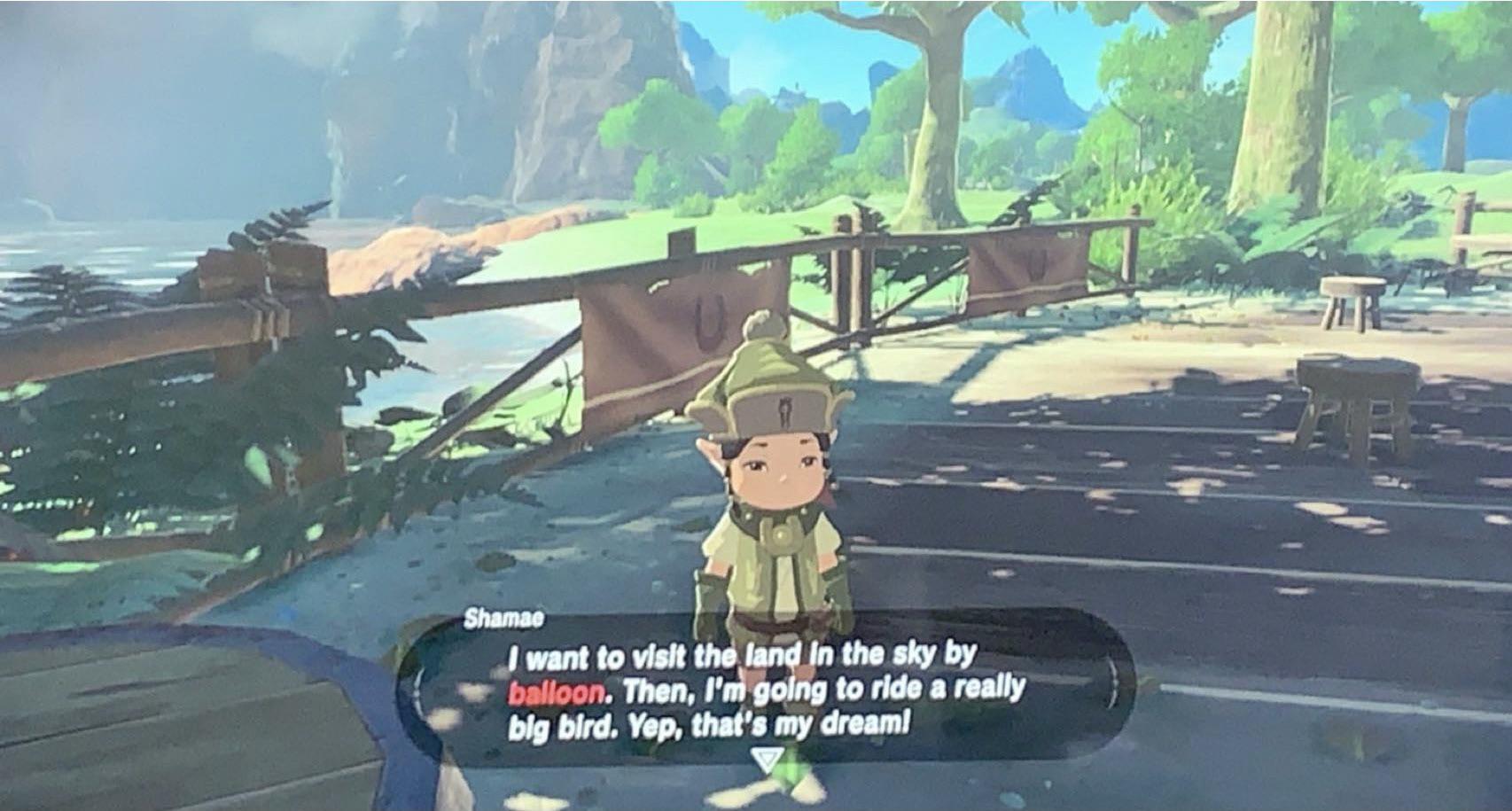 [BOTW] This side quest caught my attention after seeing the BOTW 2