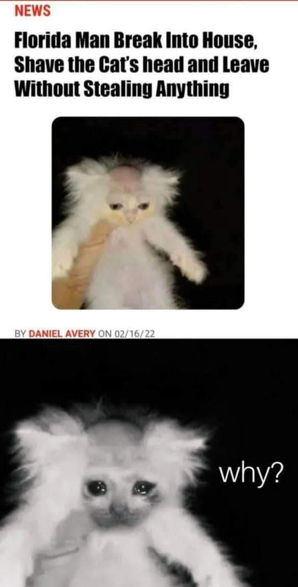 2276 best Florida Man images on Pholder Bossfight, Prequel Memes and