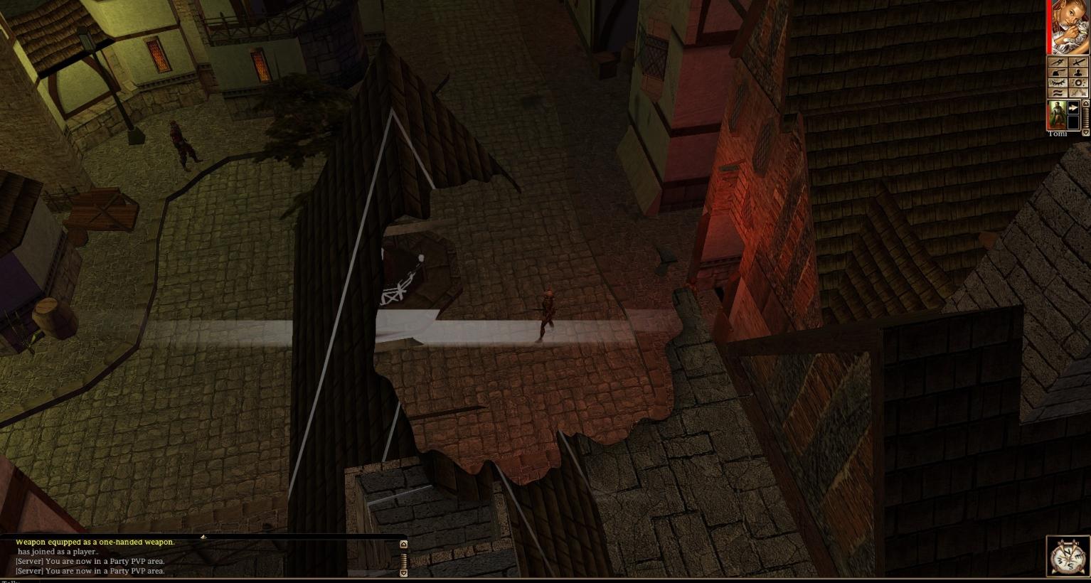 [Help] NWN EE White line glitch. It appears usually when I'm in a