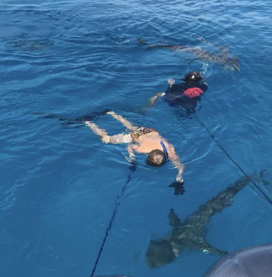 Sharkos and Speedos in The Bahamas r/Spearfishing