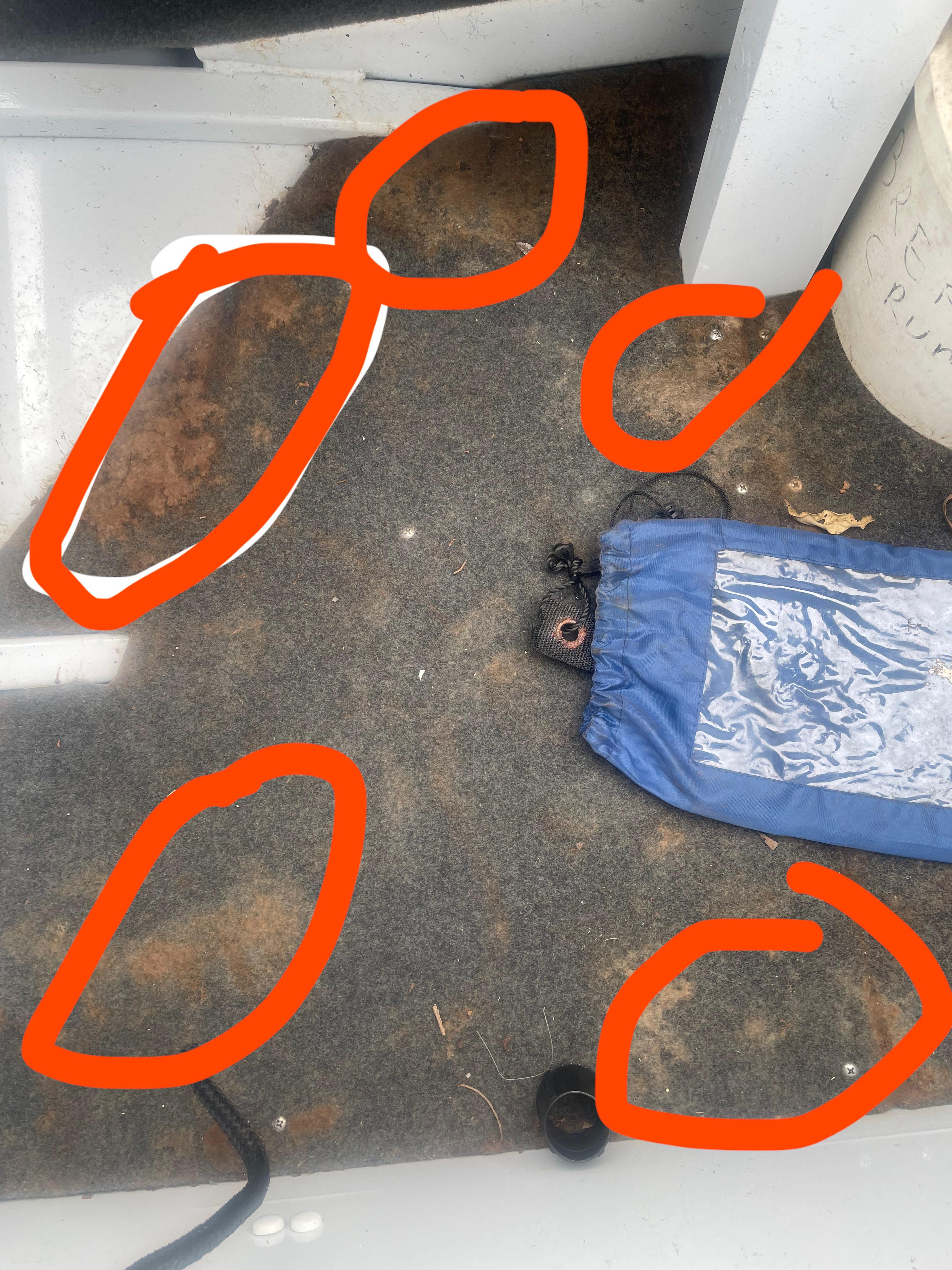 How to get rid of mould in boat carpet? r/FishingAustralia