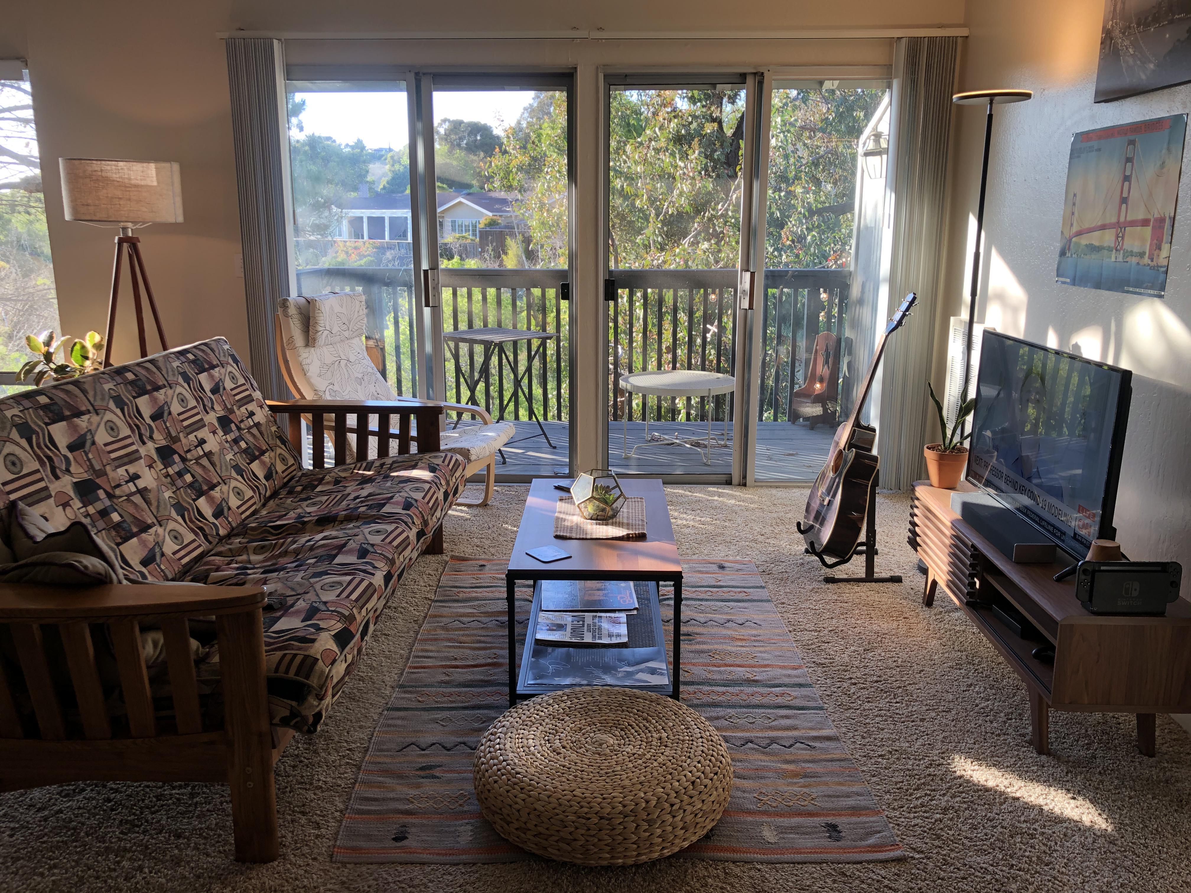 The living room of my 1 bedroom apartment (SF Bay Area, CA) r