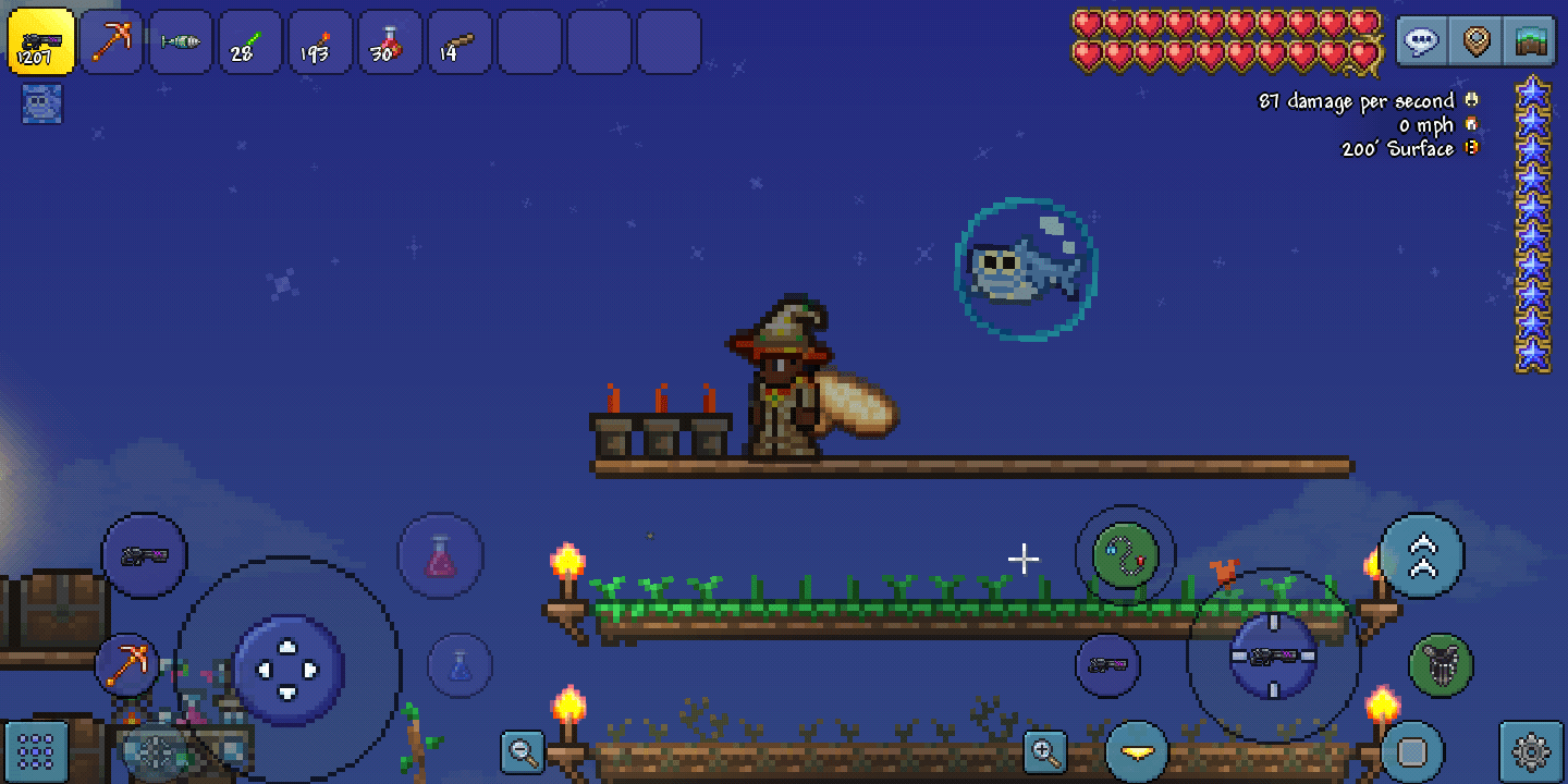 My fireblossom's haven't bloomed in 30+ Terraria days, Does anybody