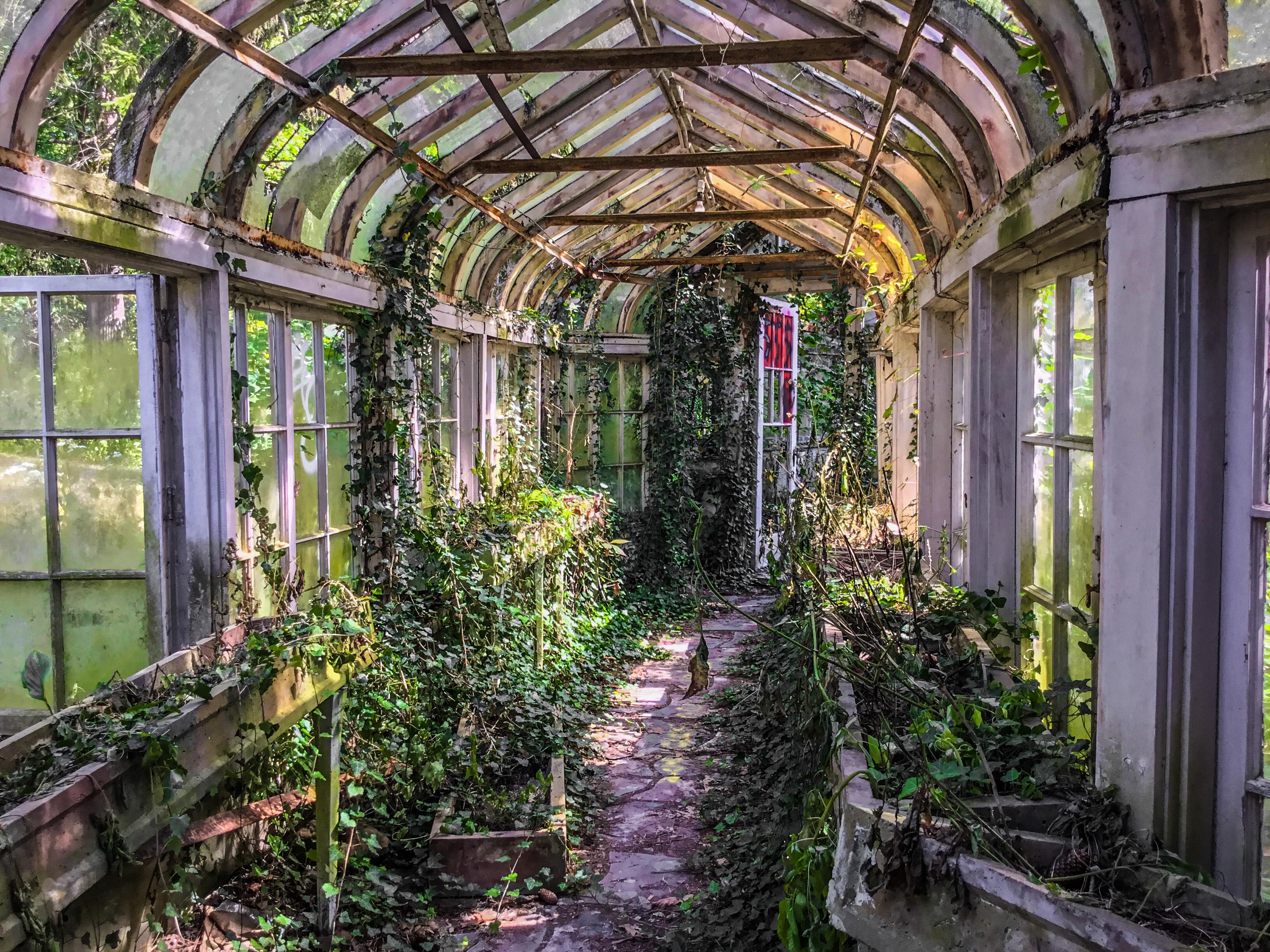 [OC] The Greenhouse of an abandonment mansion here in Indiana. r