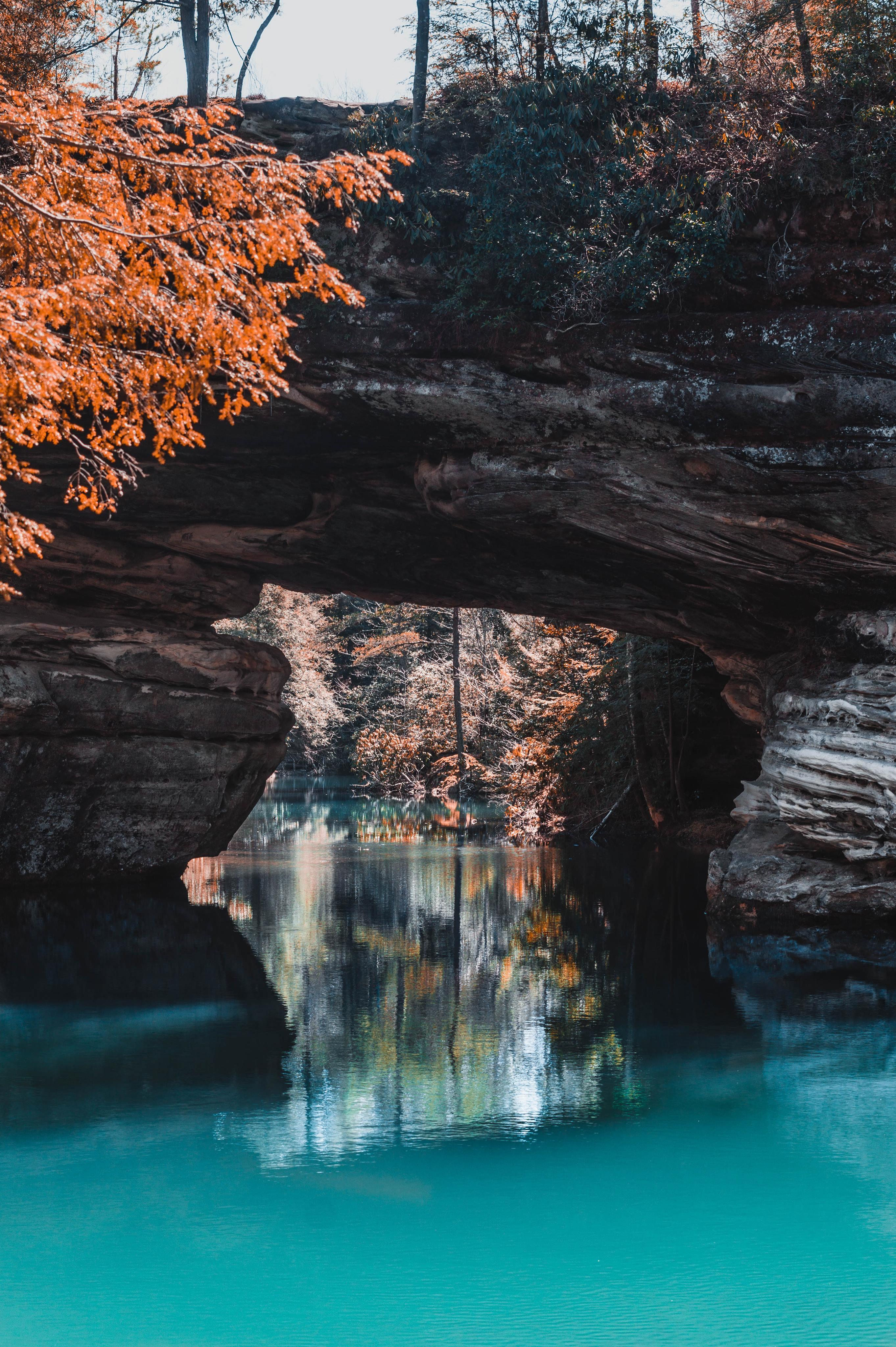 Pickett State Park TN [edit] [color] 😬 r/photocritique