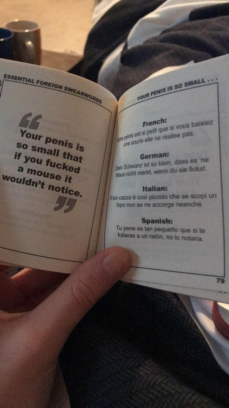 Essential foreign swear words r/Honkyandthebadger