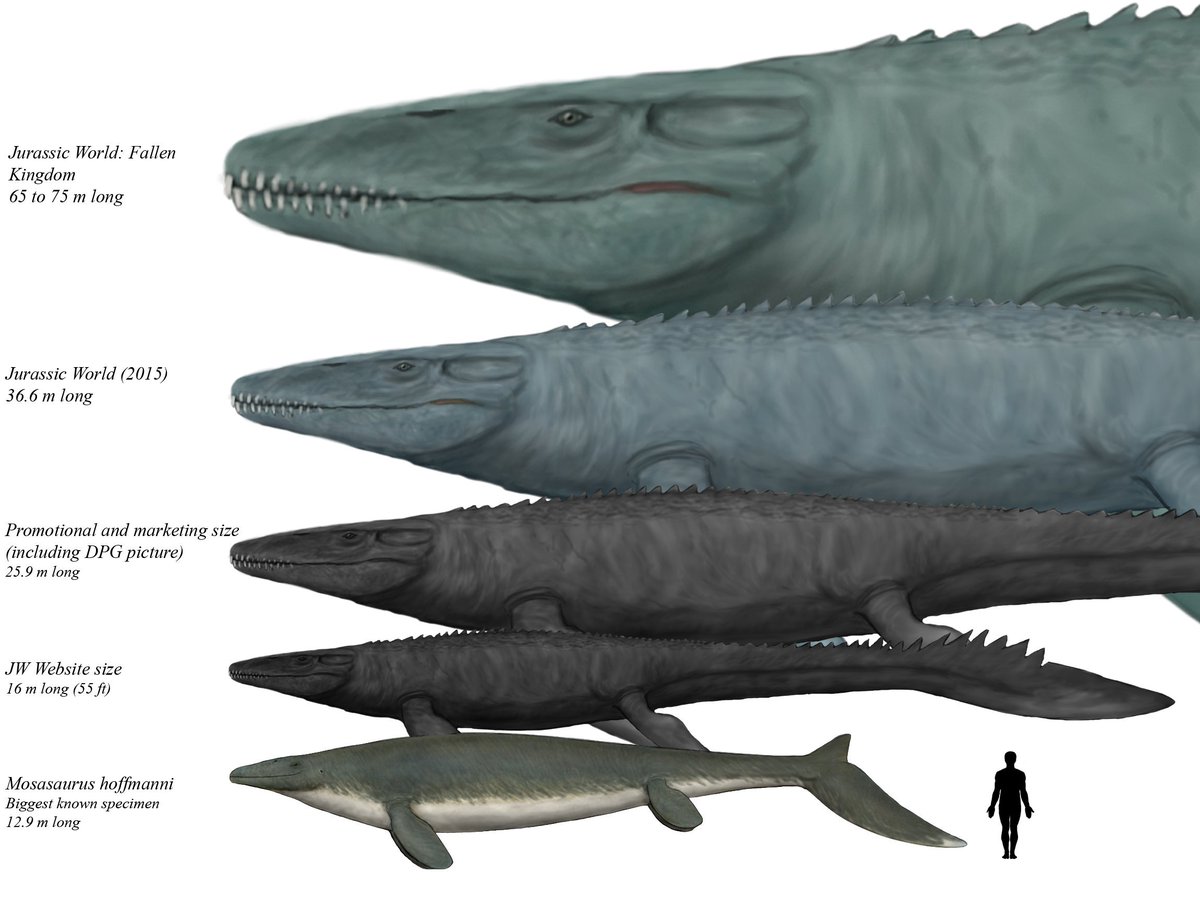 mosasaurus big Paleontology