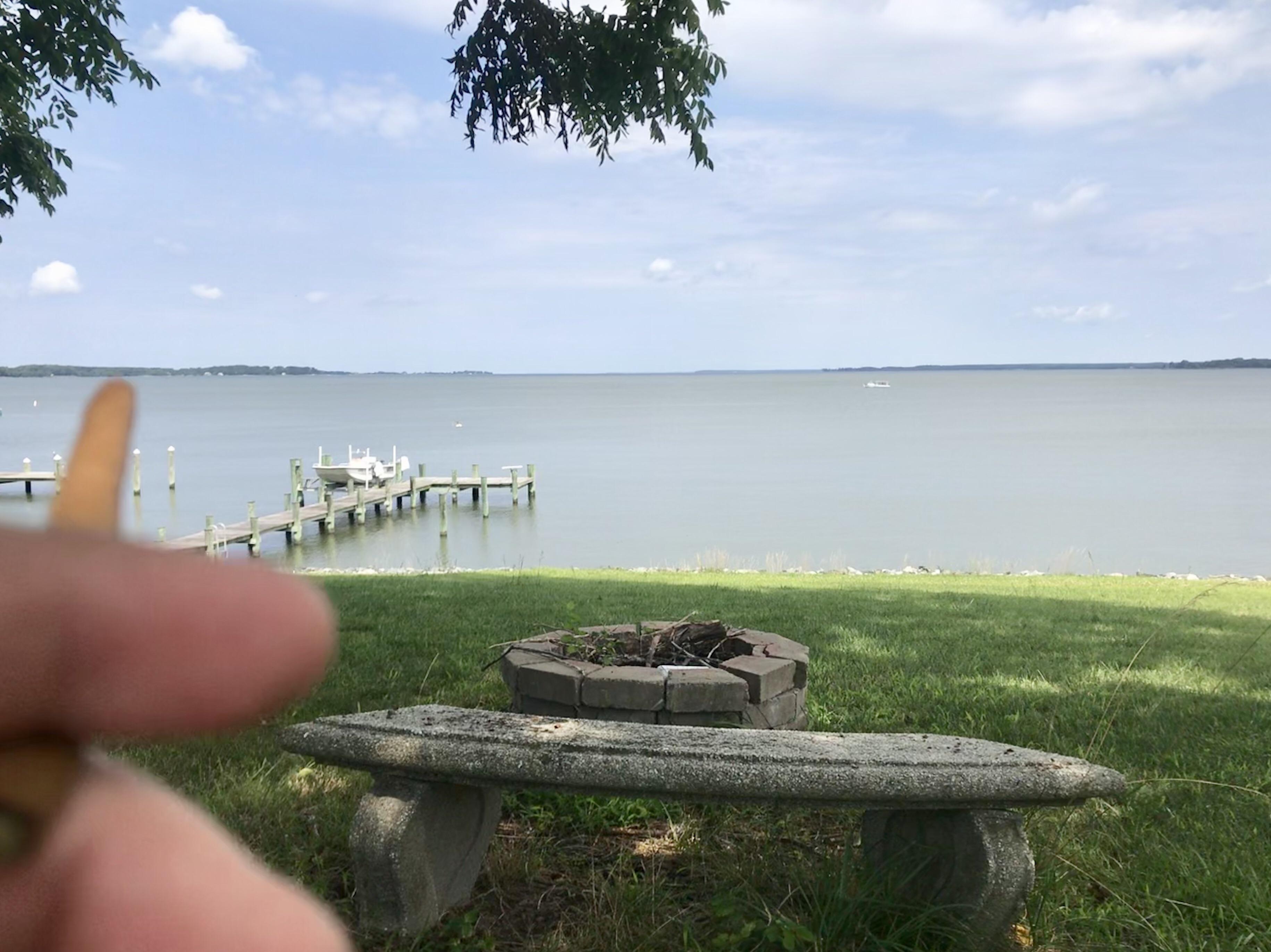 The Bench [EASTERN SHORE MD] r/trees