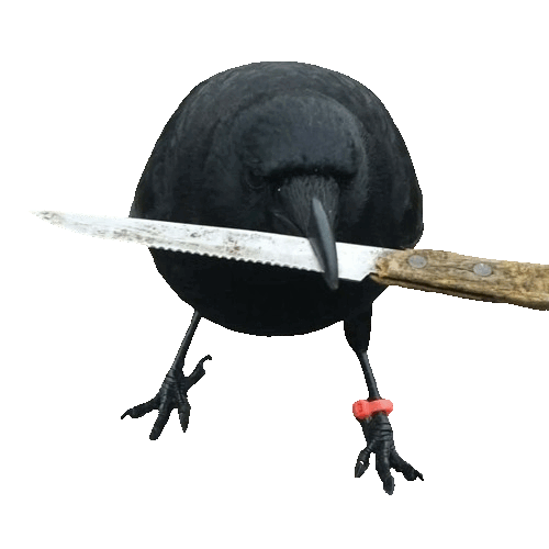 Has anyone heard of crow with knife? Is it a good coin to enter? I ser